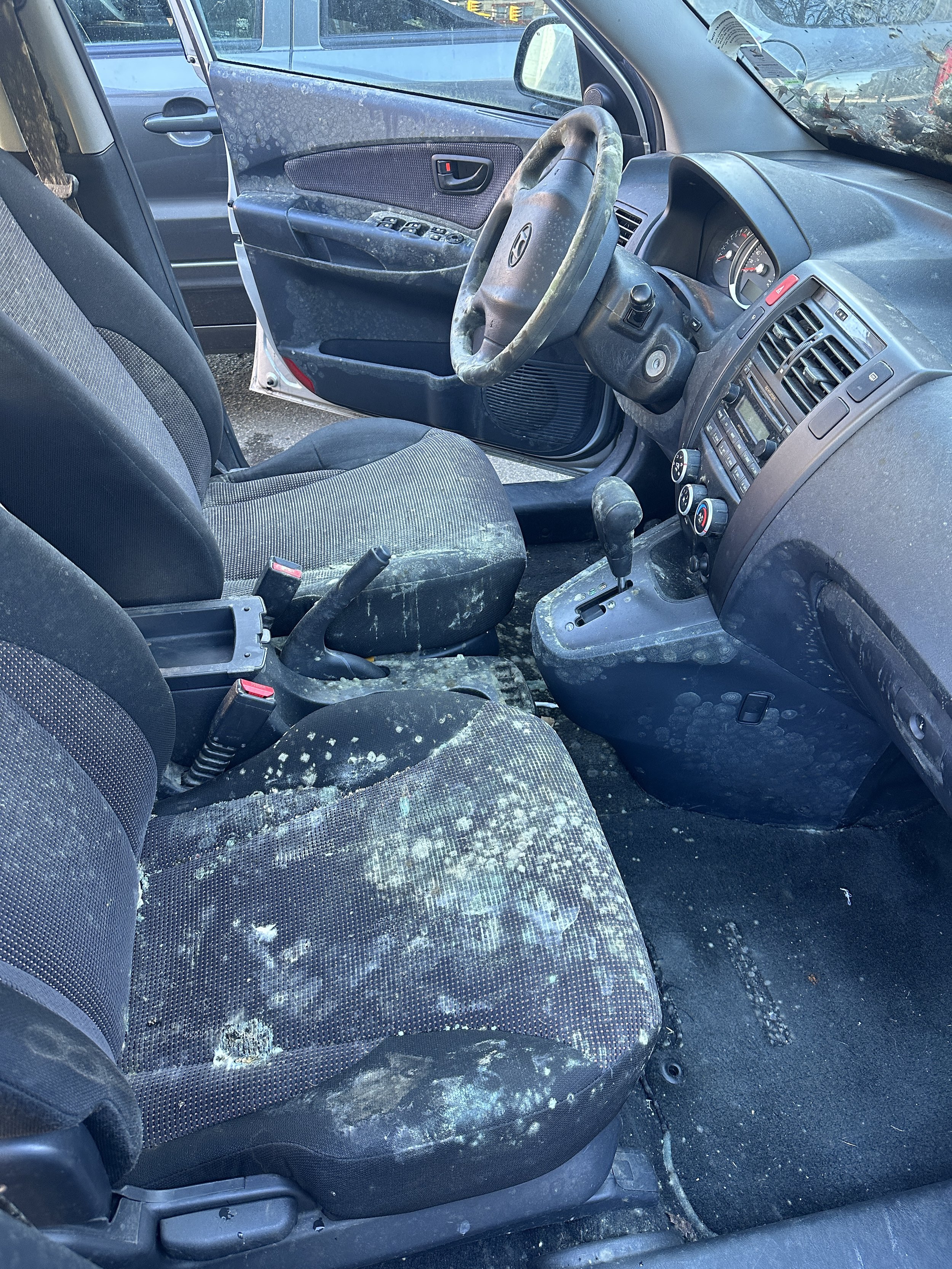 Interior mold removal