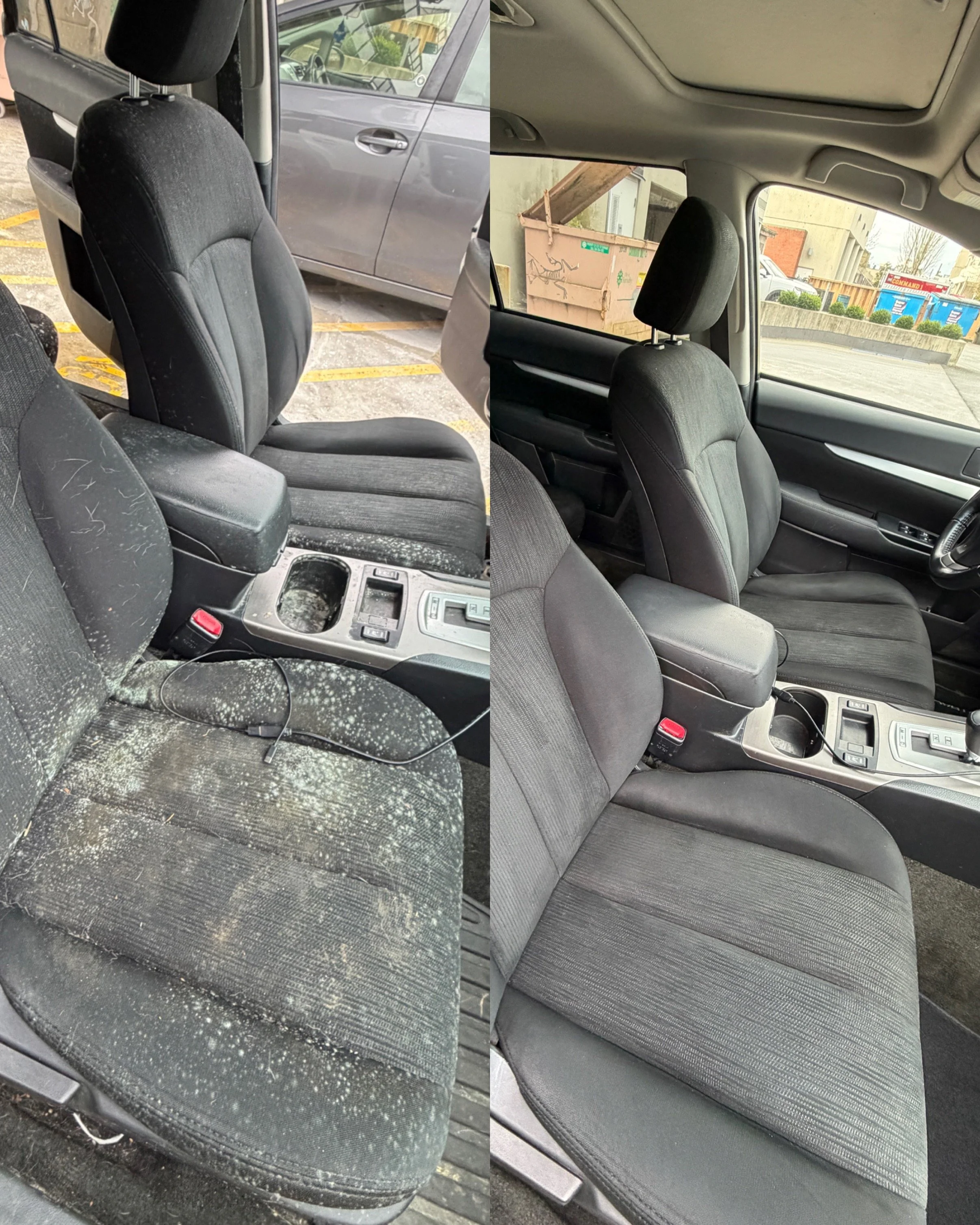 car mold removal near me