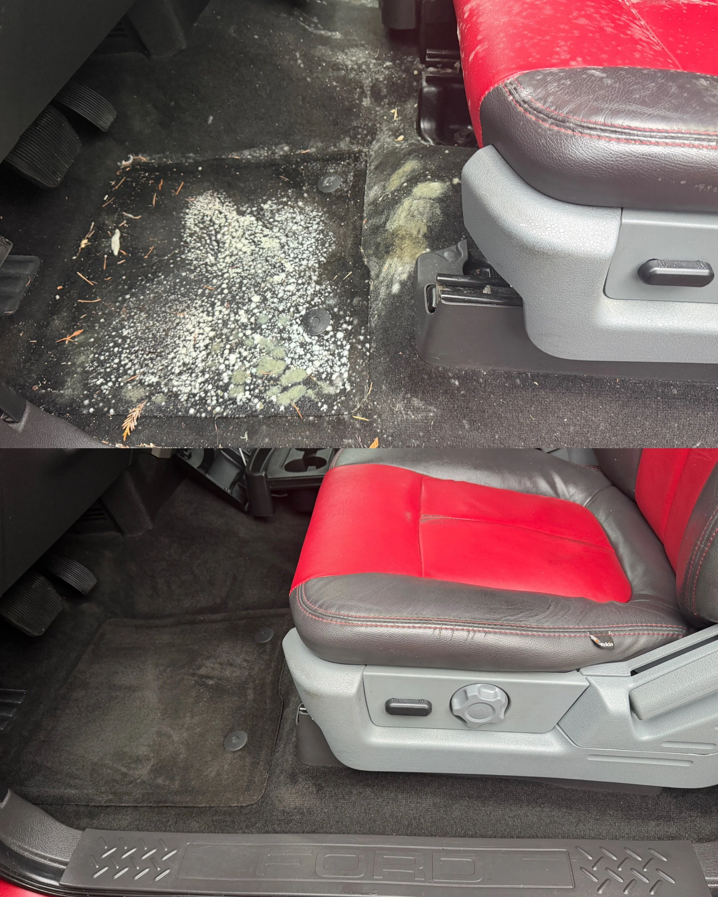 car mold removal vancouver