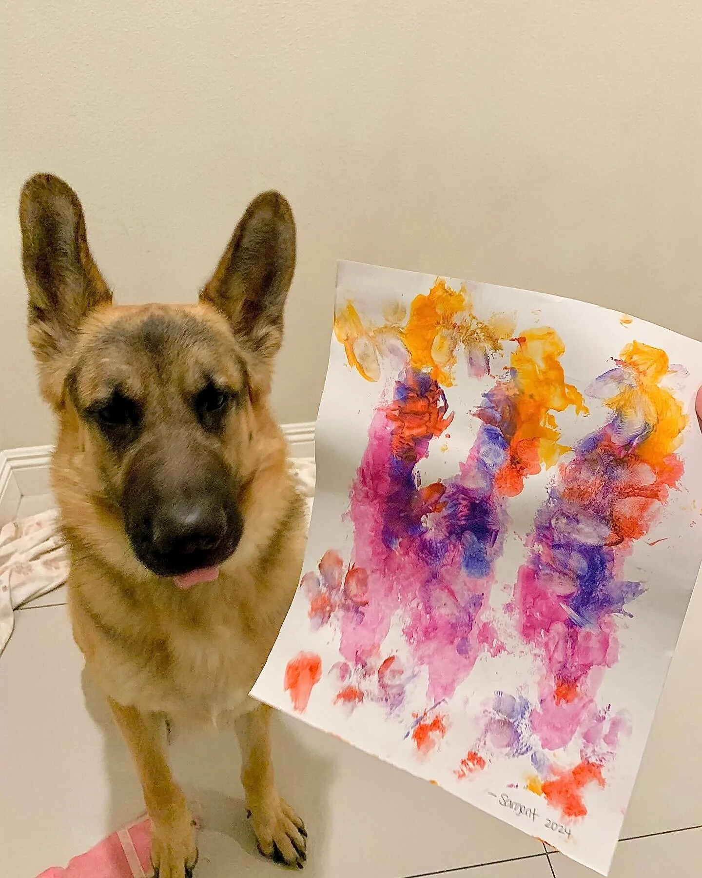 A little late, but happy Valentine&rsquo;s Day from Sargent. He loves you all, and he&rsquo;s looking for a vocal teacher too, because I cannot teach him with all the boops he gives me. 

Please comment that he is a good boy and he did a good job on 