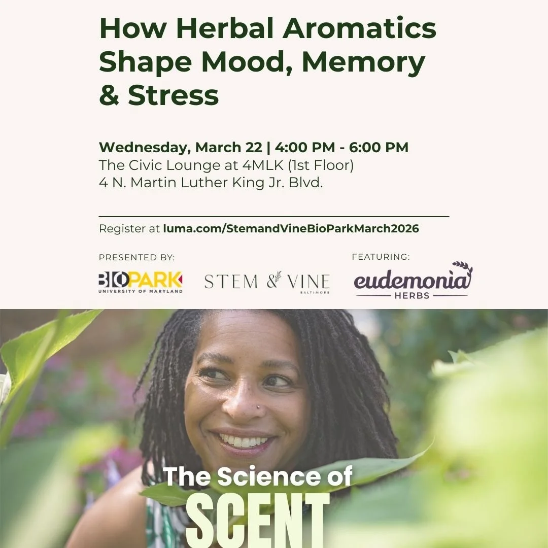 The Scent of Science: How Herbal Aromatics Shape Mood, Memory & Stress
