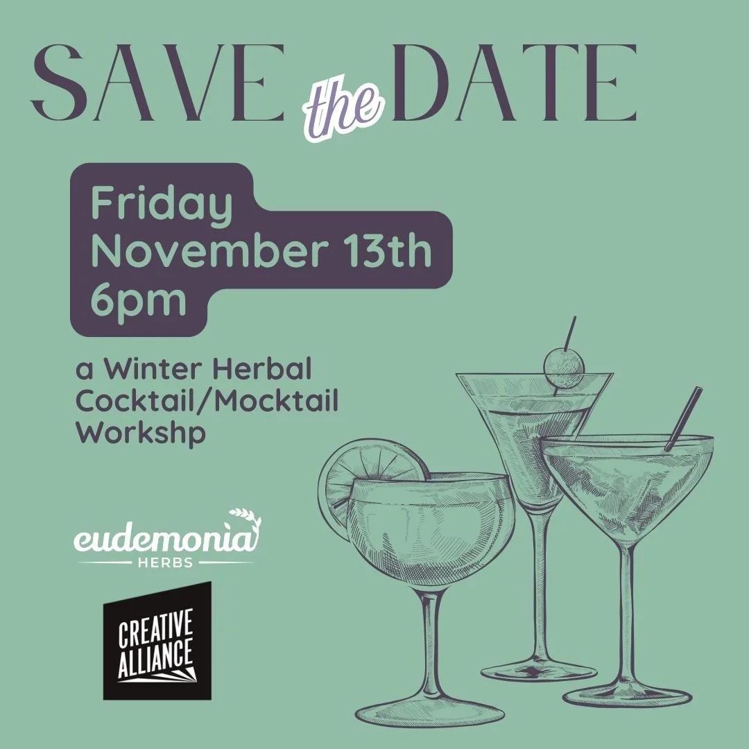 Winter Cocktail & Mocktail Workshop