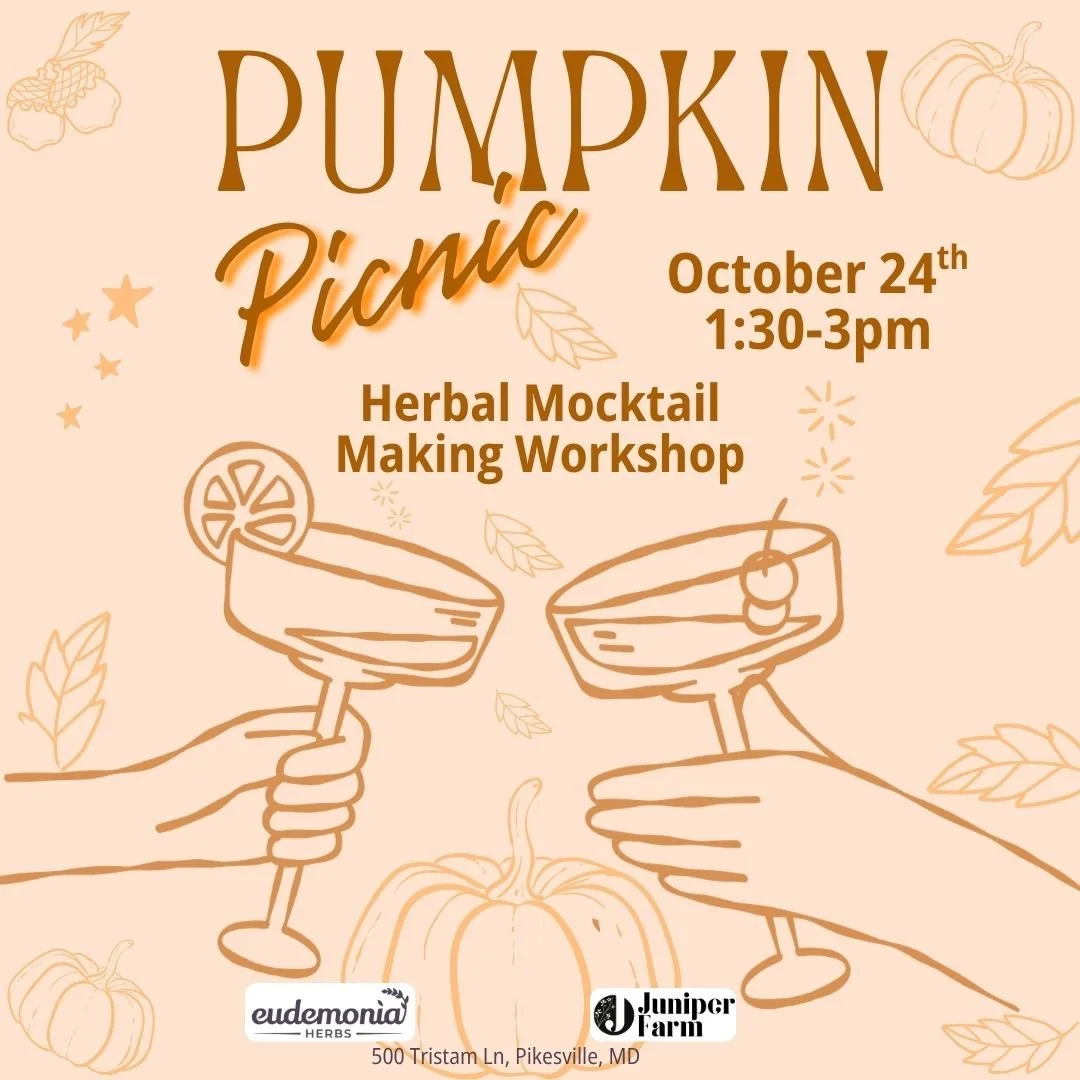 Pumpkin Picnic: Fall Herbal Mocktails
