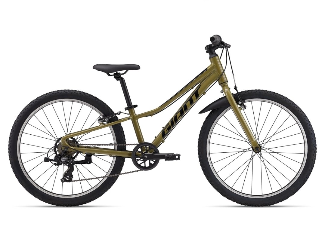 Giant Talon 24 Lite