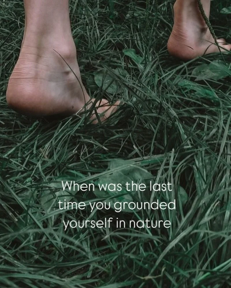 Ground Yourself in Nature 🌱
In our fast-paced lives, it&rsquo;s easy to feel disconnected. Grounding yourself in nature is a simple yet powerful practice that can transform your well-being.

Why Grounding Matters:

Reduces Stress: Being in nature lo