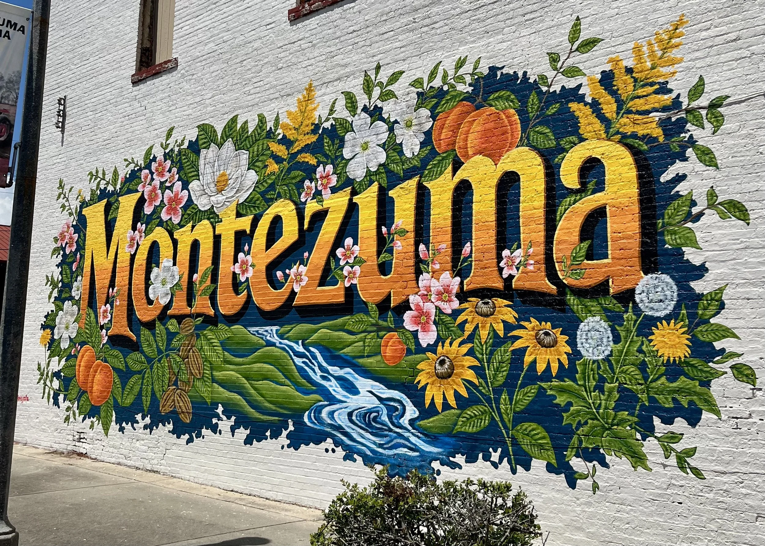 Montezuma GA