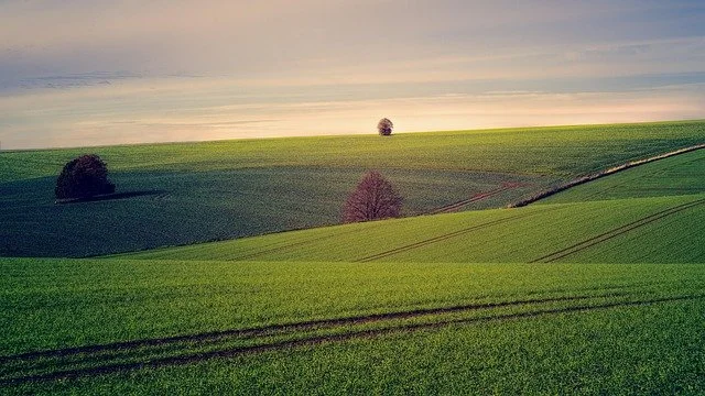 Open meadow and gentle hills under soft light, suggesting openness and a sense of crossing into a new space.