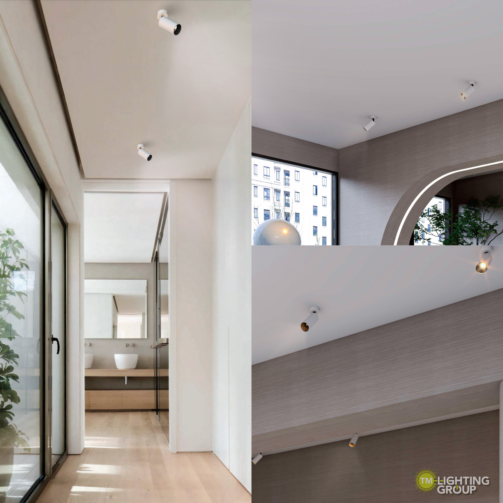 Deacon Ceiling Spot Light2.png