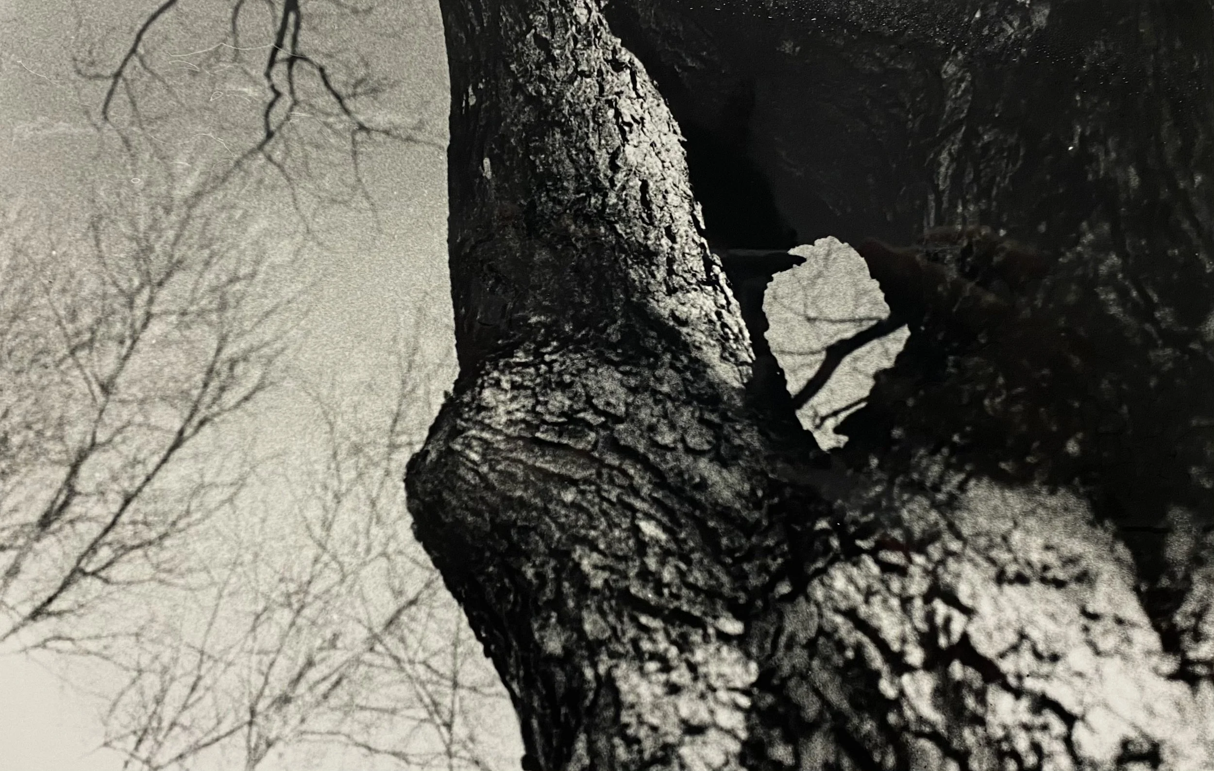 Bodily, 6.5x10 in, March '21