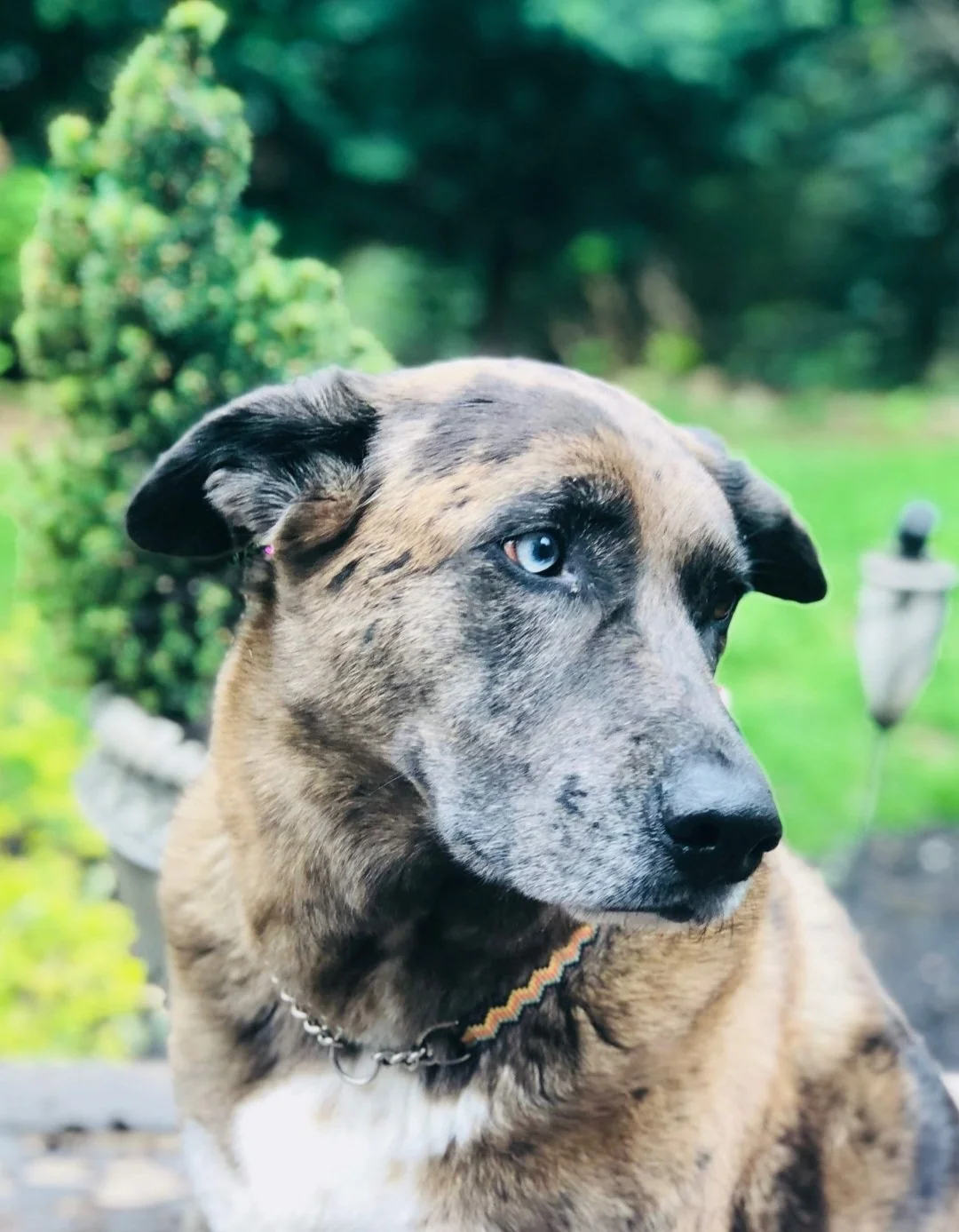 Please, Just Don’t