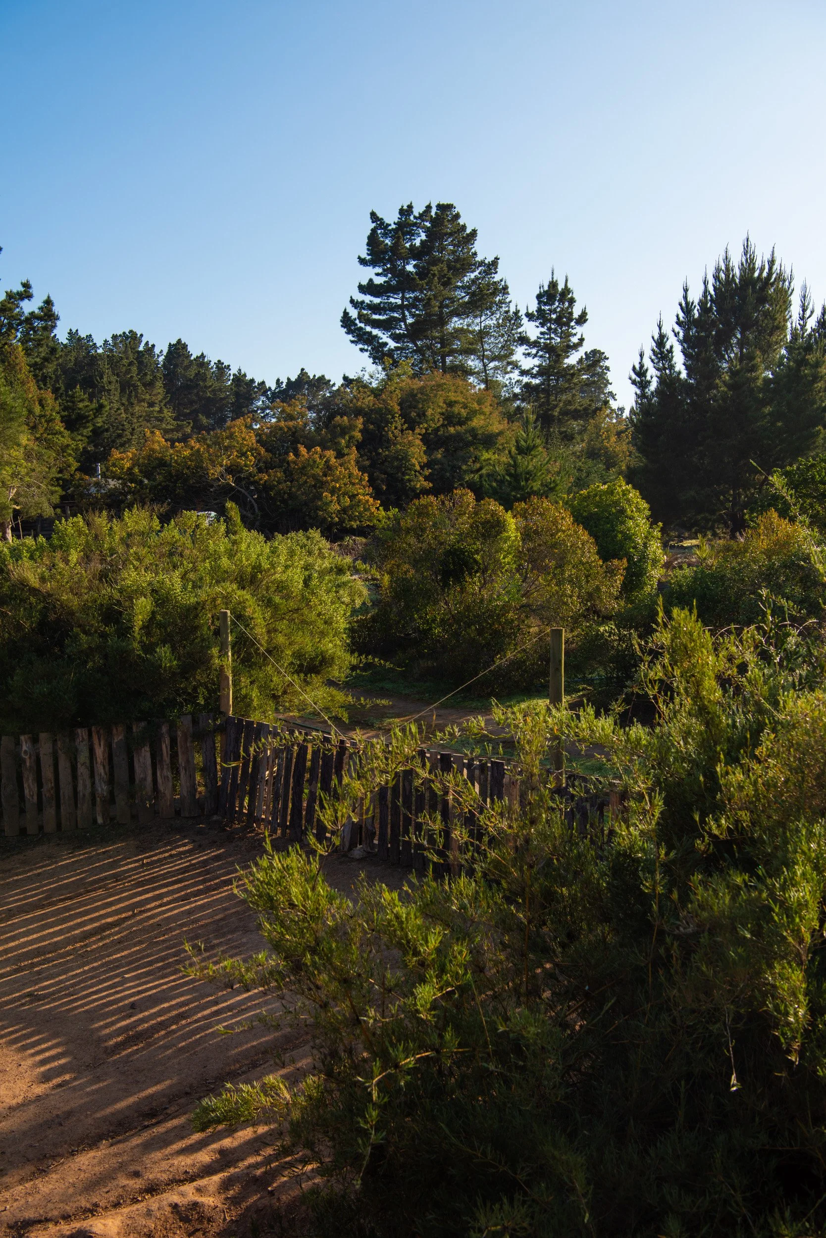 _DSC3097.jpg
