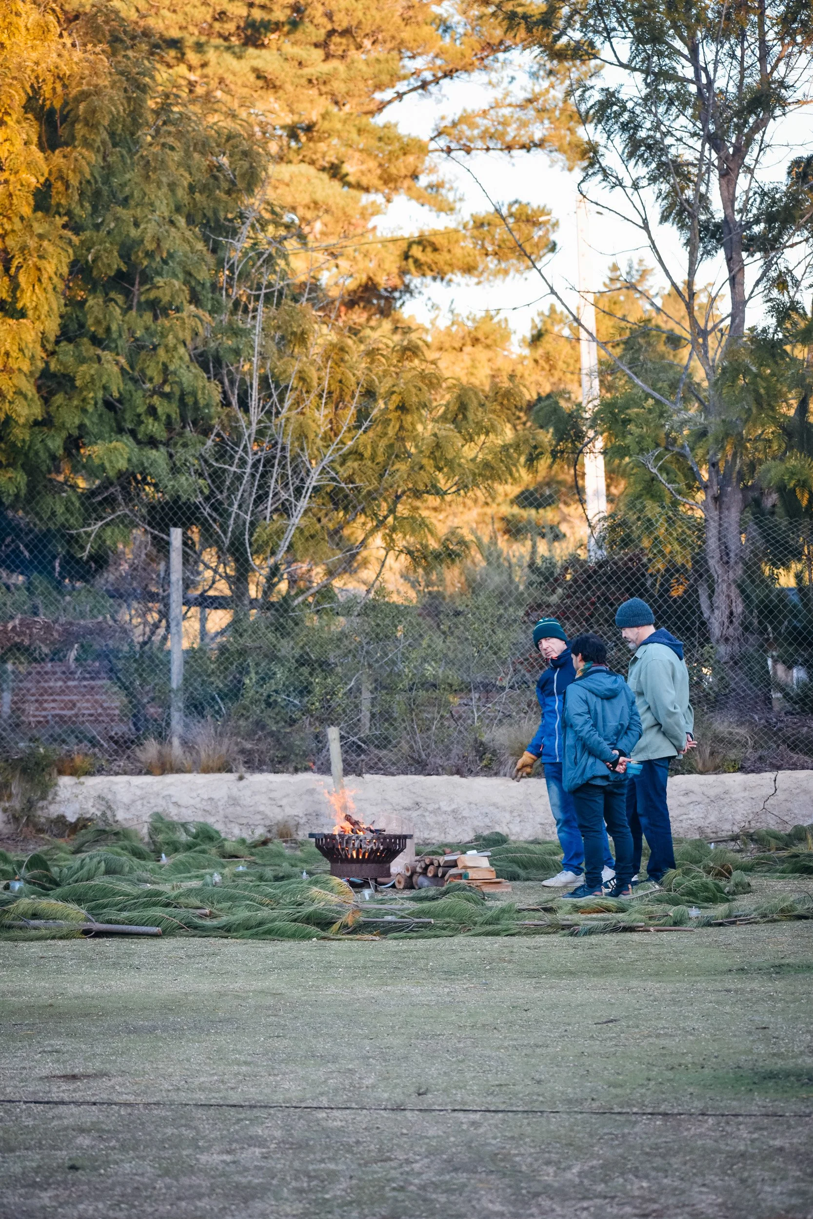 DSC_0653.jpg