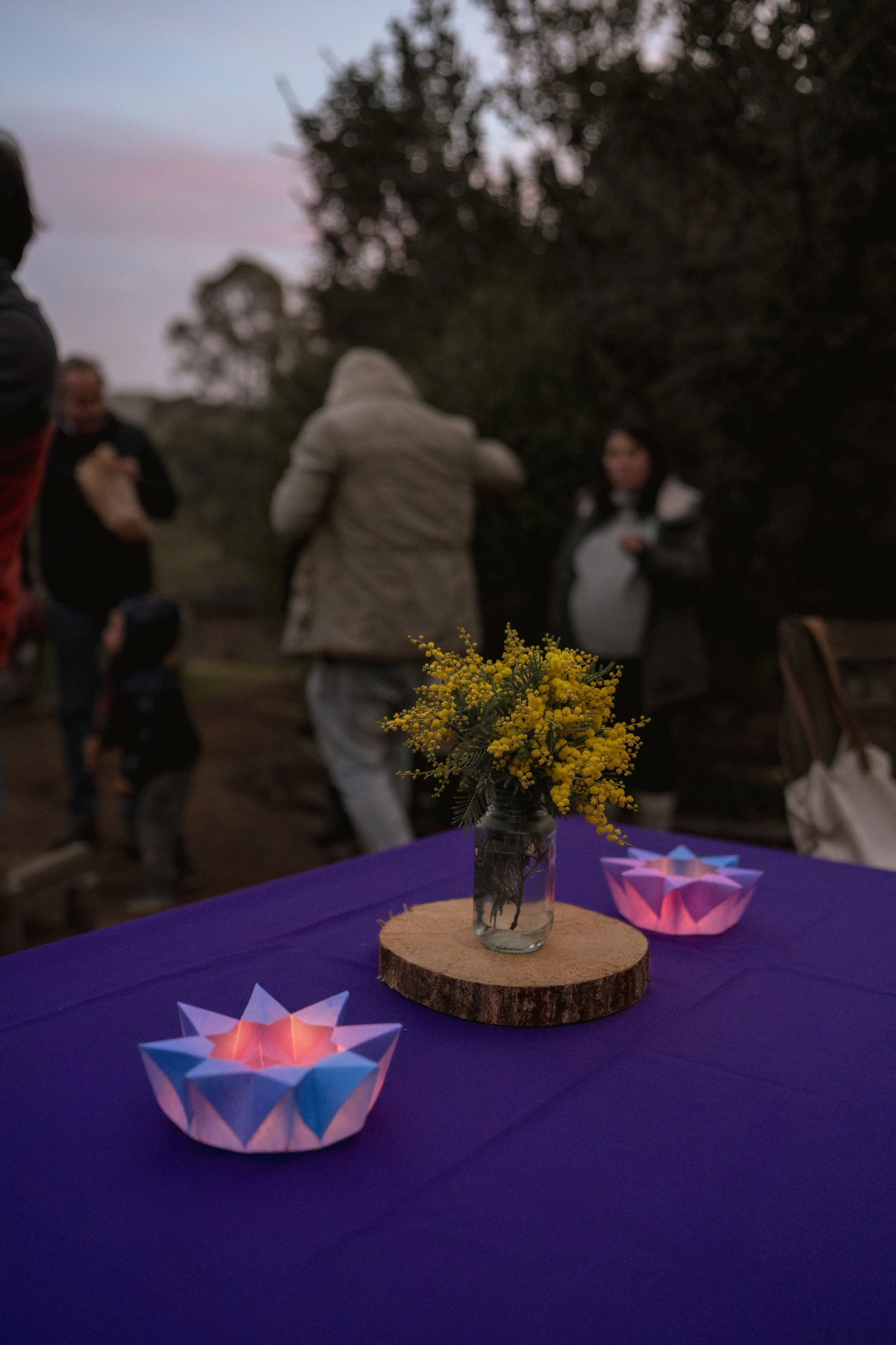Fiestadelaluz2026-57.jpg
