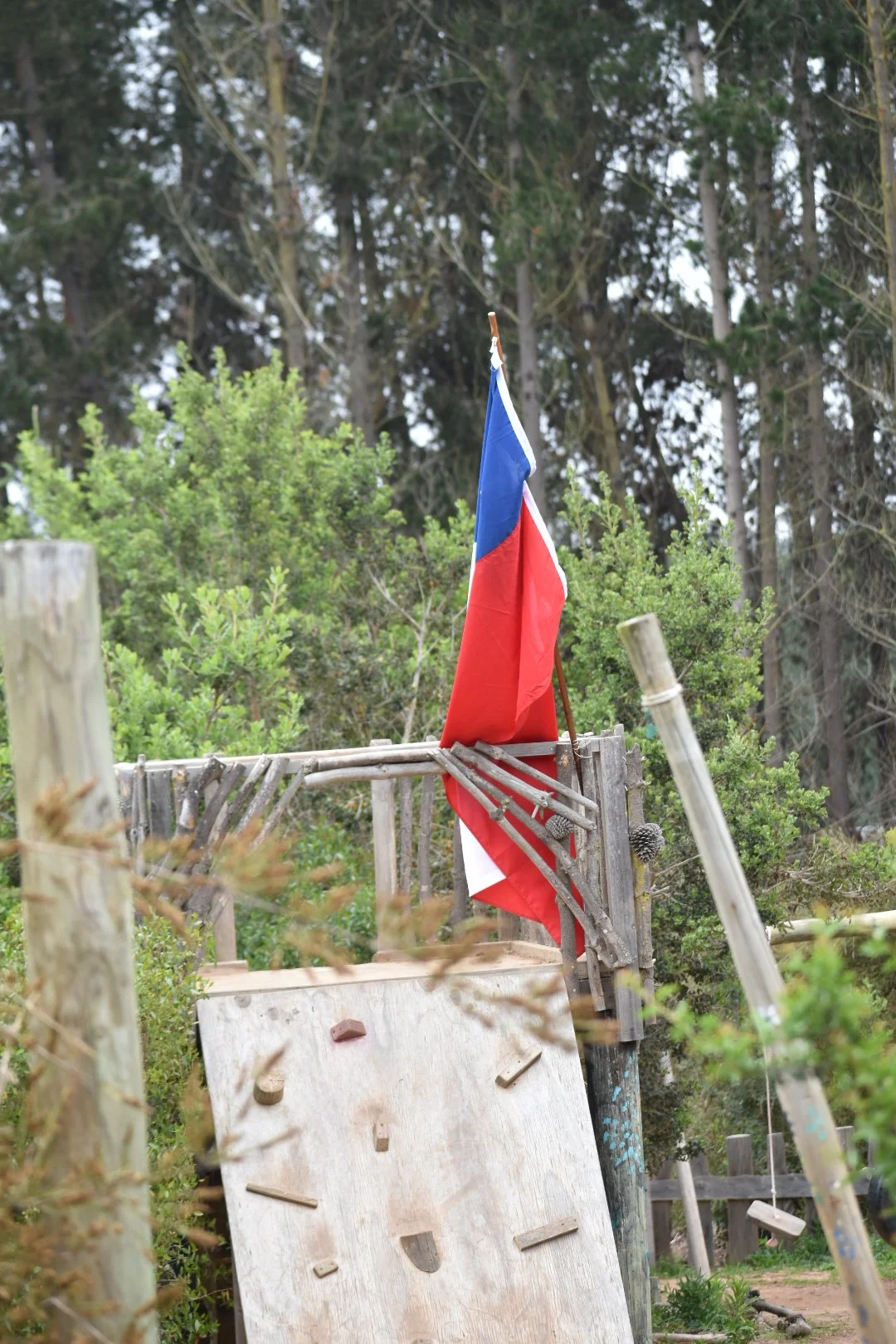 DSC_0005.JPG