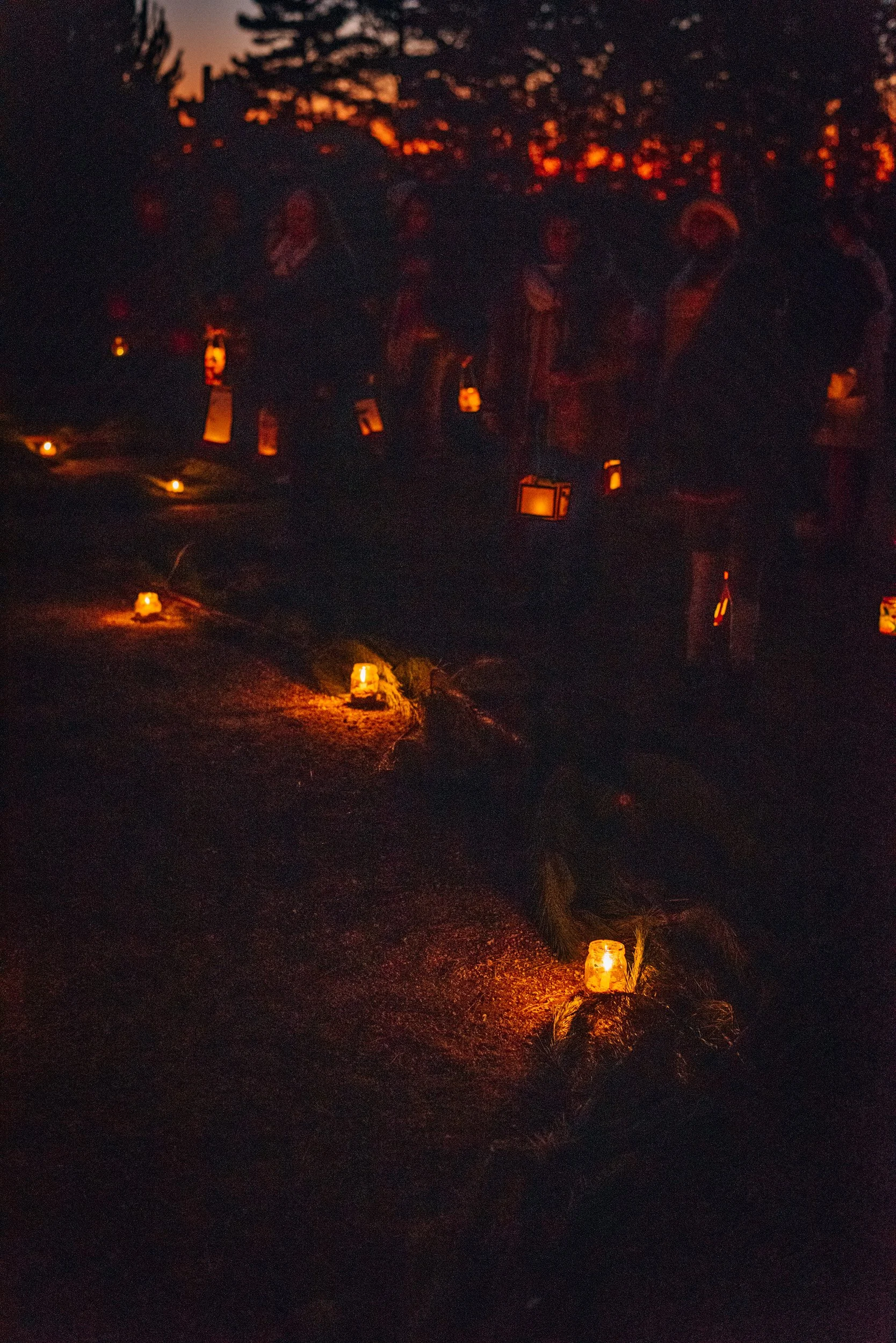 _DSC9007.jpg