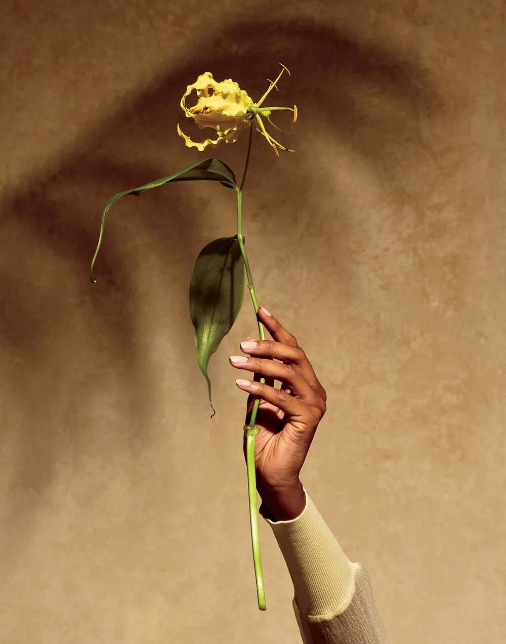 FY21SPR2-22x28-E-Photography-BloomGrow_lr.jpg