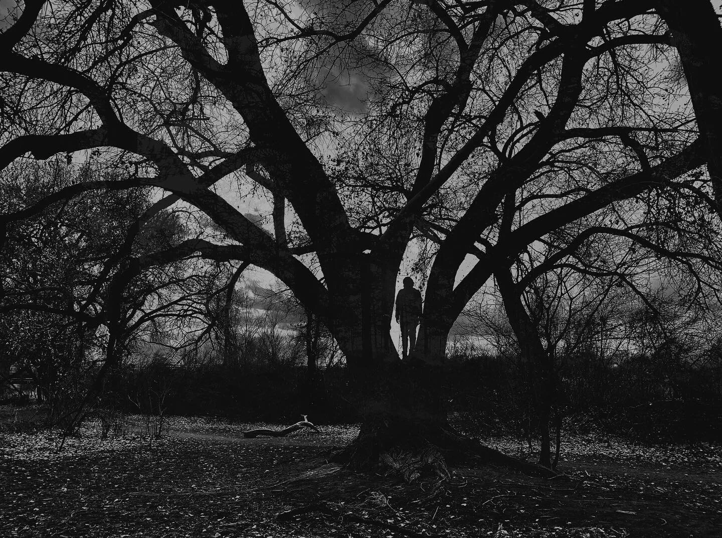 &bull;
&bull;
&bull;
&bull;
&bull;
&bull;
&bull;
&bull;
&bull;
&bull;
&bull;
&bull;
 #sonyalpha #sonyphotography #sony6600 #newmexico #indie #indiemusic #ambient #psychrock #psychedelicrock #alternative #postblackmetal #nature #naturephotography #cha