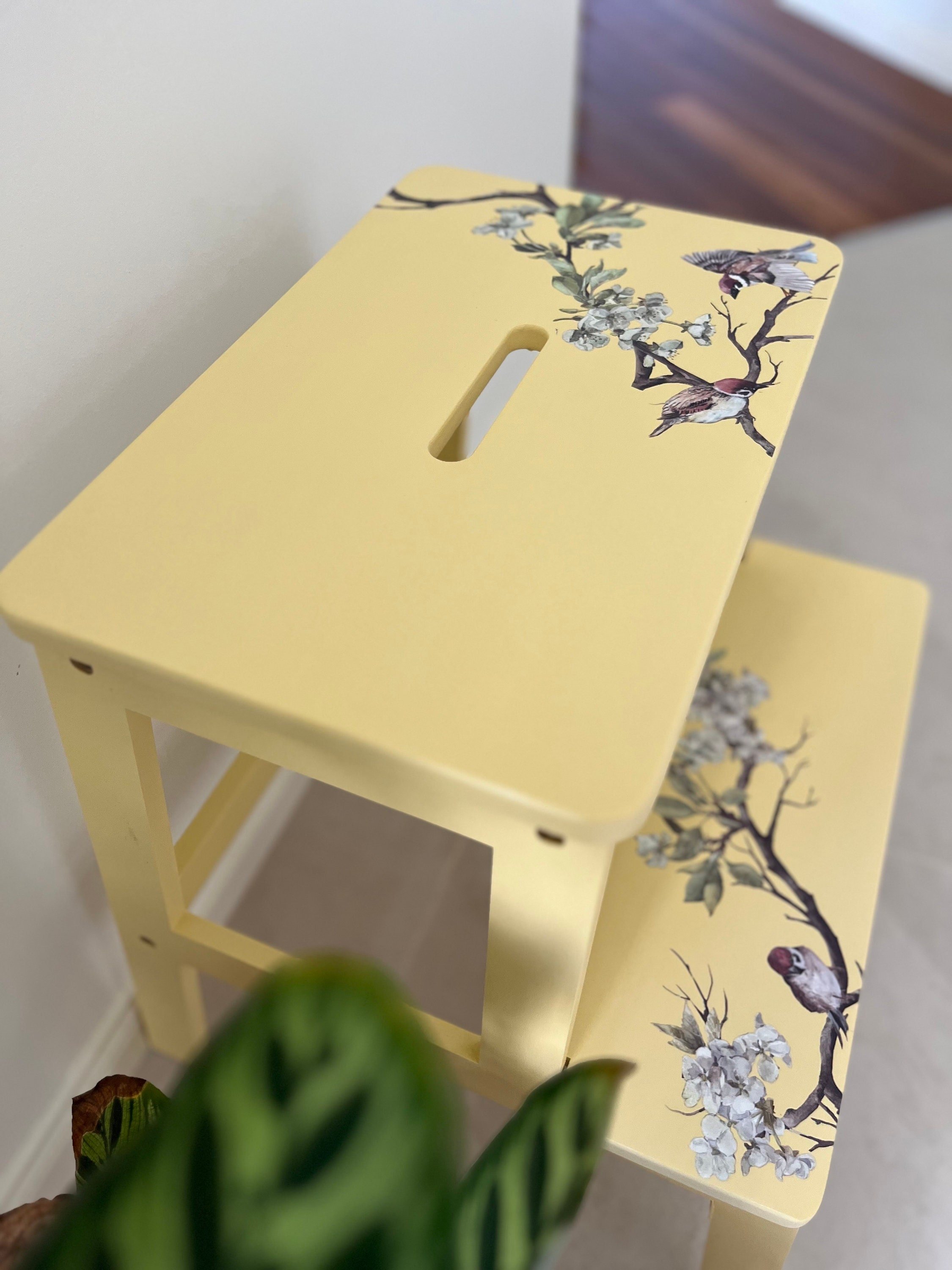https://i.etsystatic.com/24620668/r/il/362fb3/5858356908/il_fullxfull.5858356908_i8n0.jpg