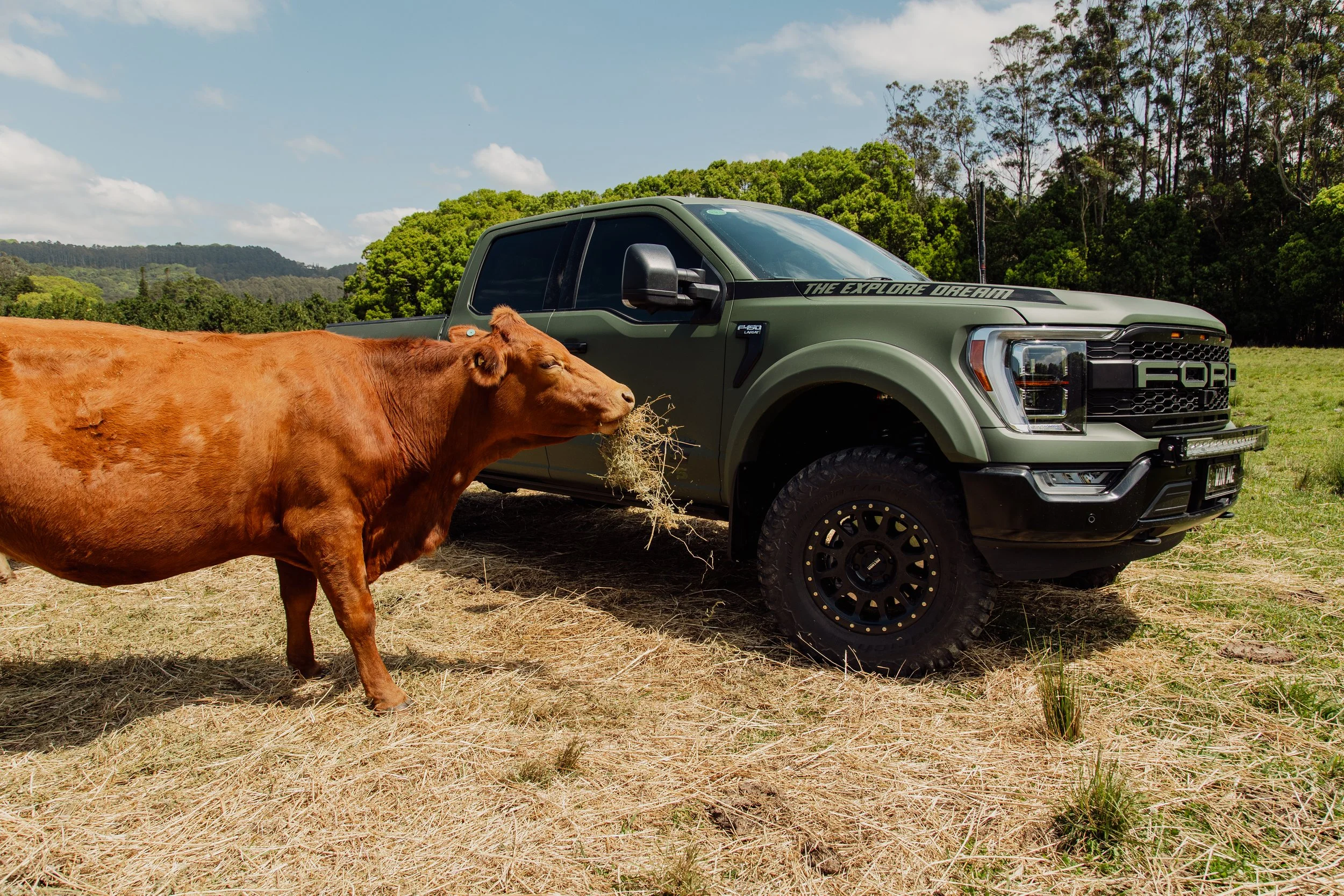 F-150FarmBeach-25.jpg