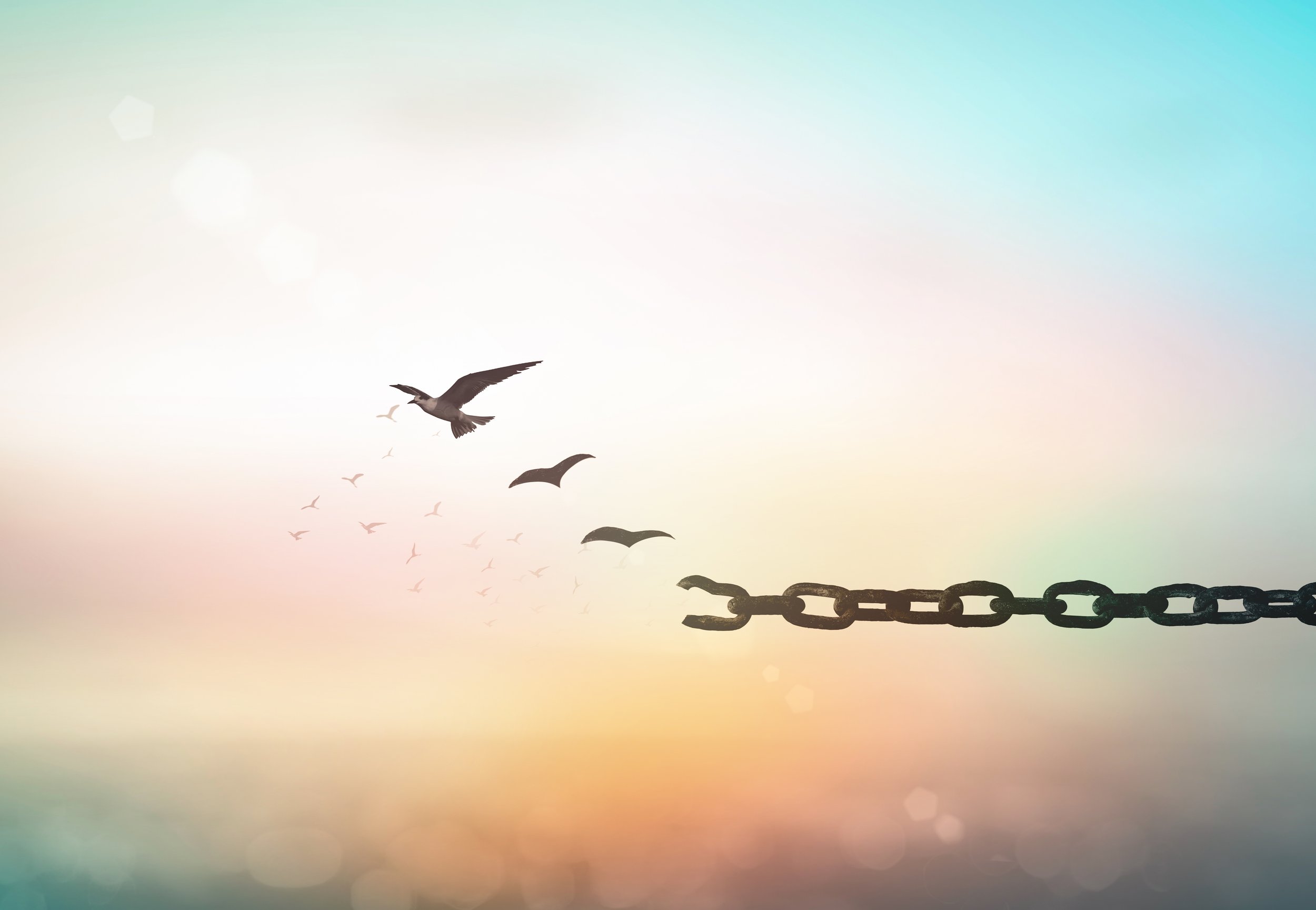 The Art of Letting Go
