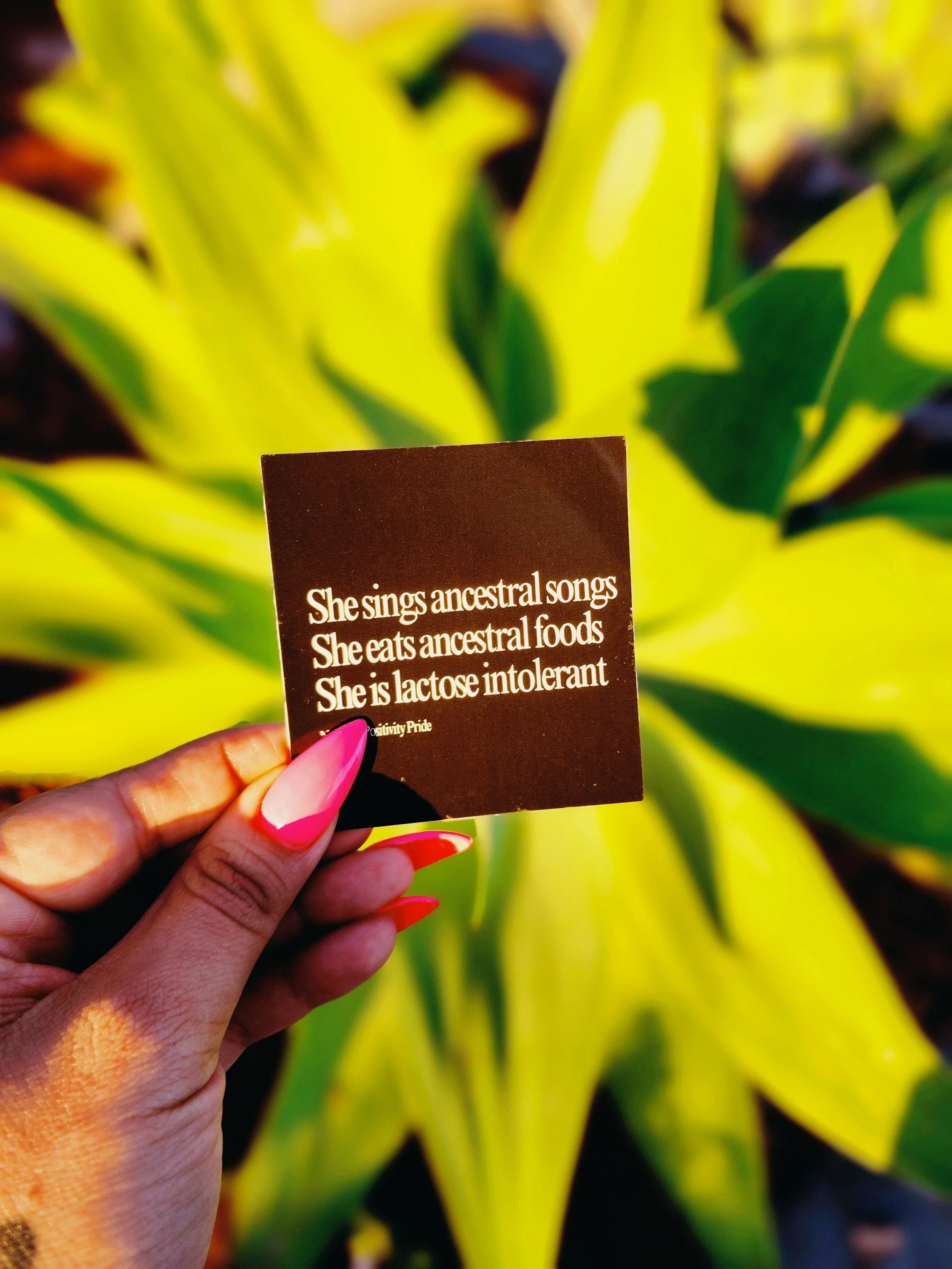 Indigenous Women Resisting Colonialism and Patriarchy Sticker Pack 3 ...