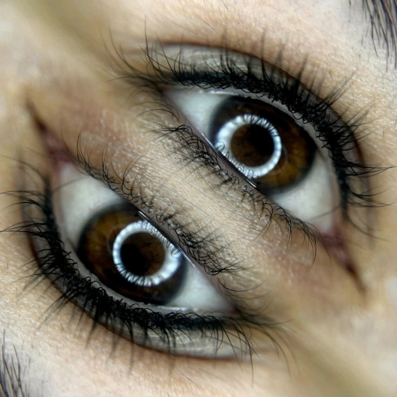 We love a make-up free made-up look 🖤 

Lash enhancement is the most subtle tattoo and works on all eye shapes 👁️✨ minimal pain for eyes that pop 🌟
Made with love at @freshcosmeticsstudio 🫶🏼

#lashenhancement #lashlinetattoo #lashlift #eyetattoo