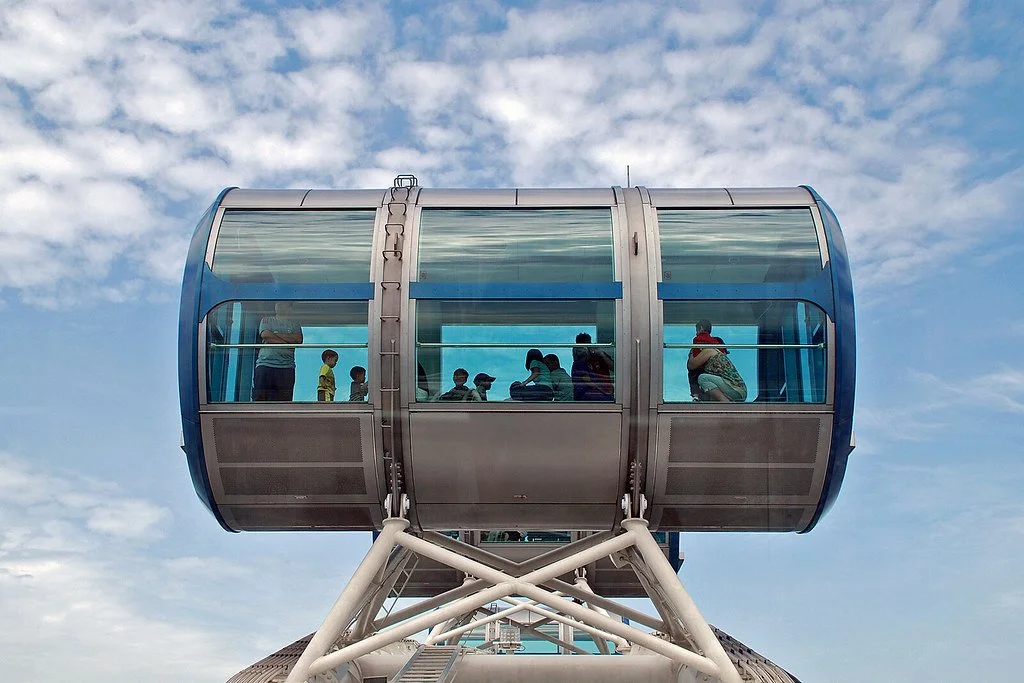 Singapore Flyer (Private Capsule)