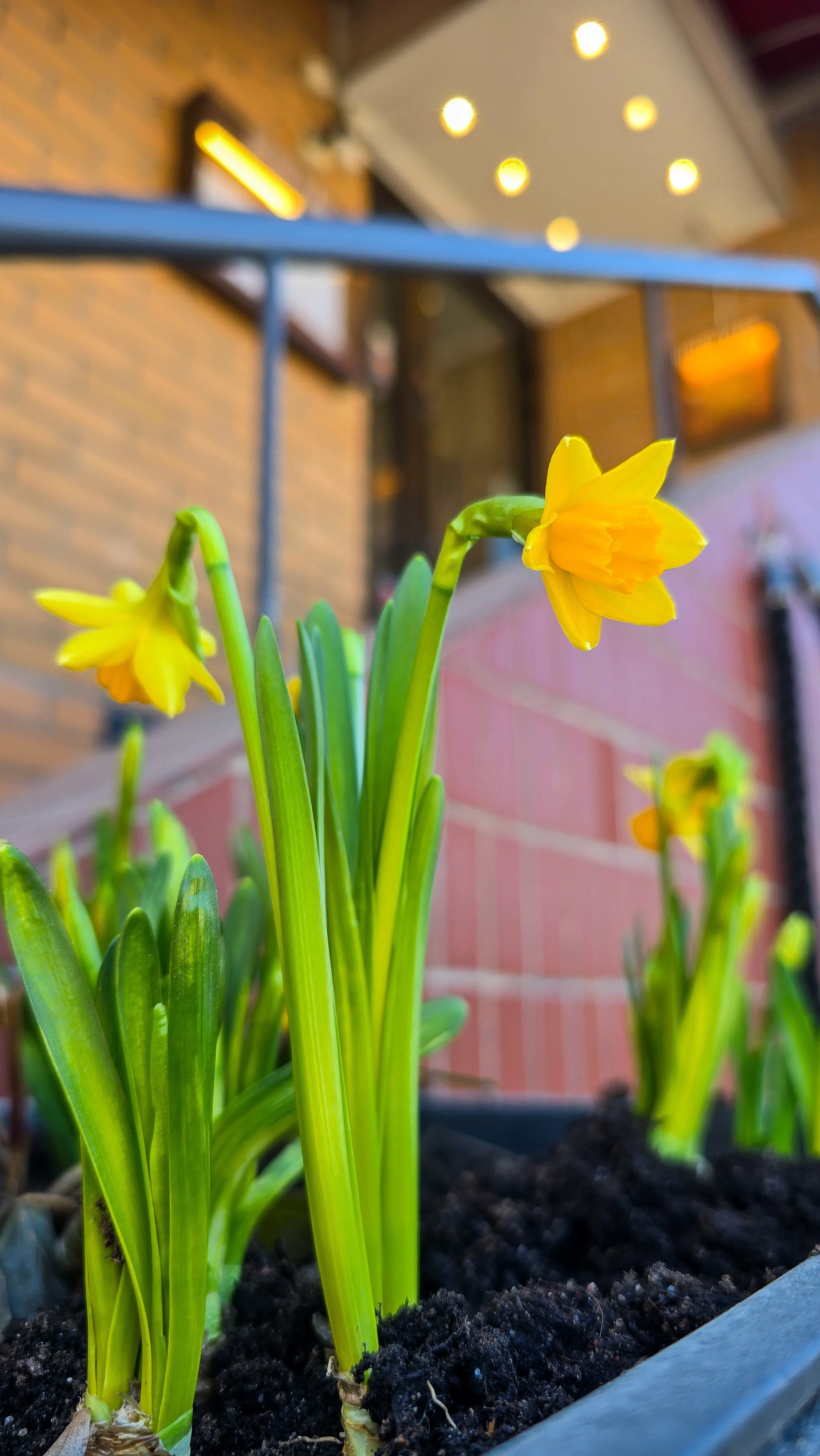 Pääsiäisen aukioloajat