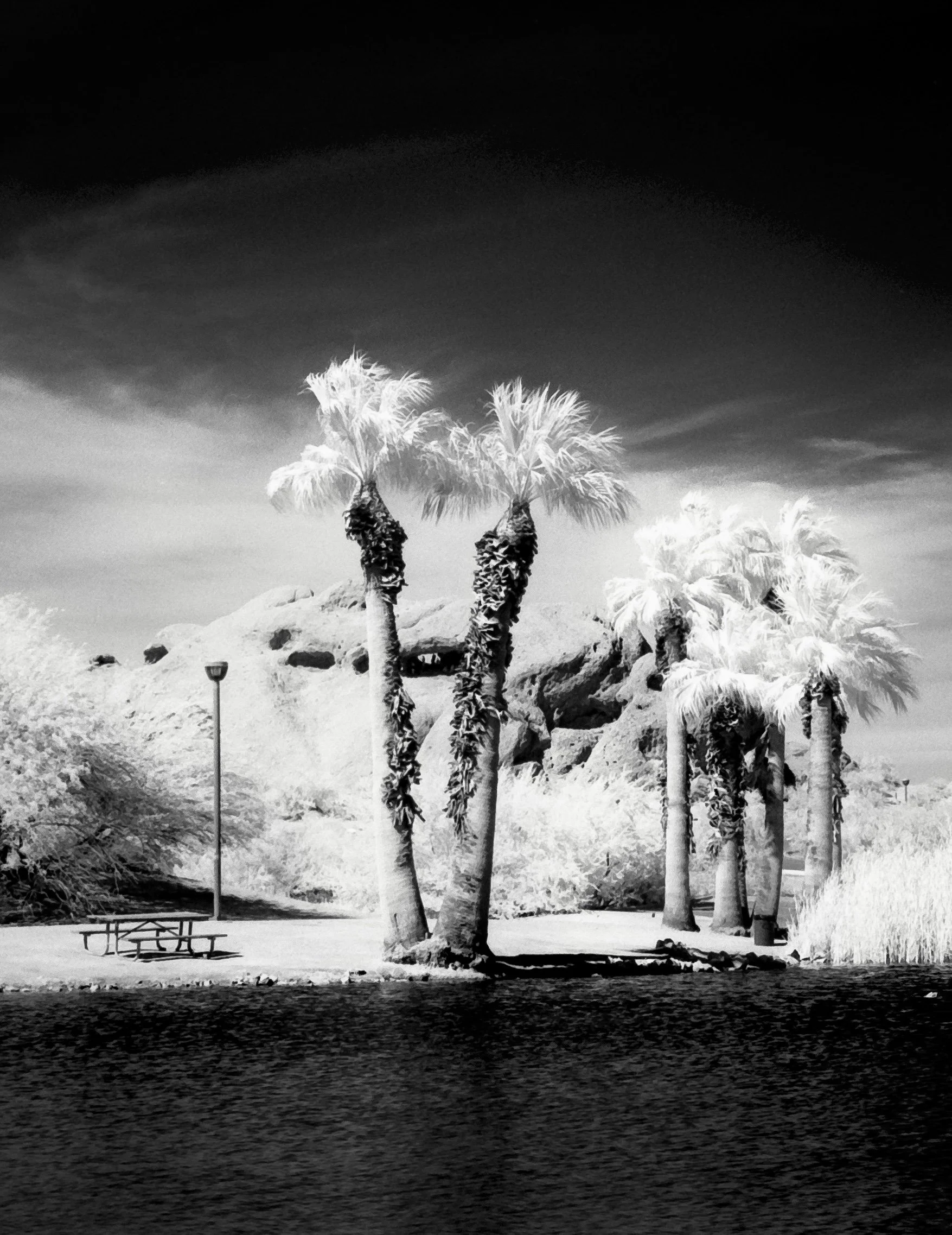 5.28.22%20Rollei%20IR%20400%20645%20Fuji%20GS645-006.jpg