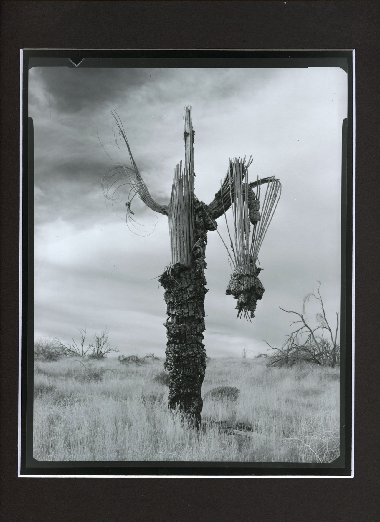 Silver Gelatin Darkroom print