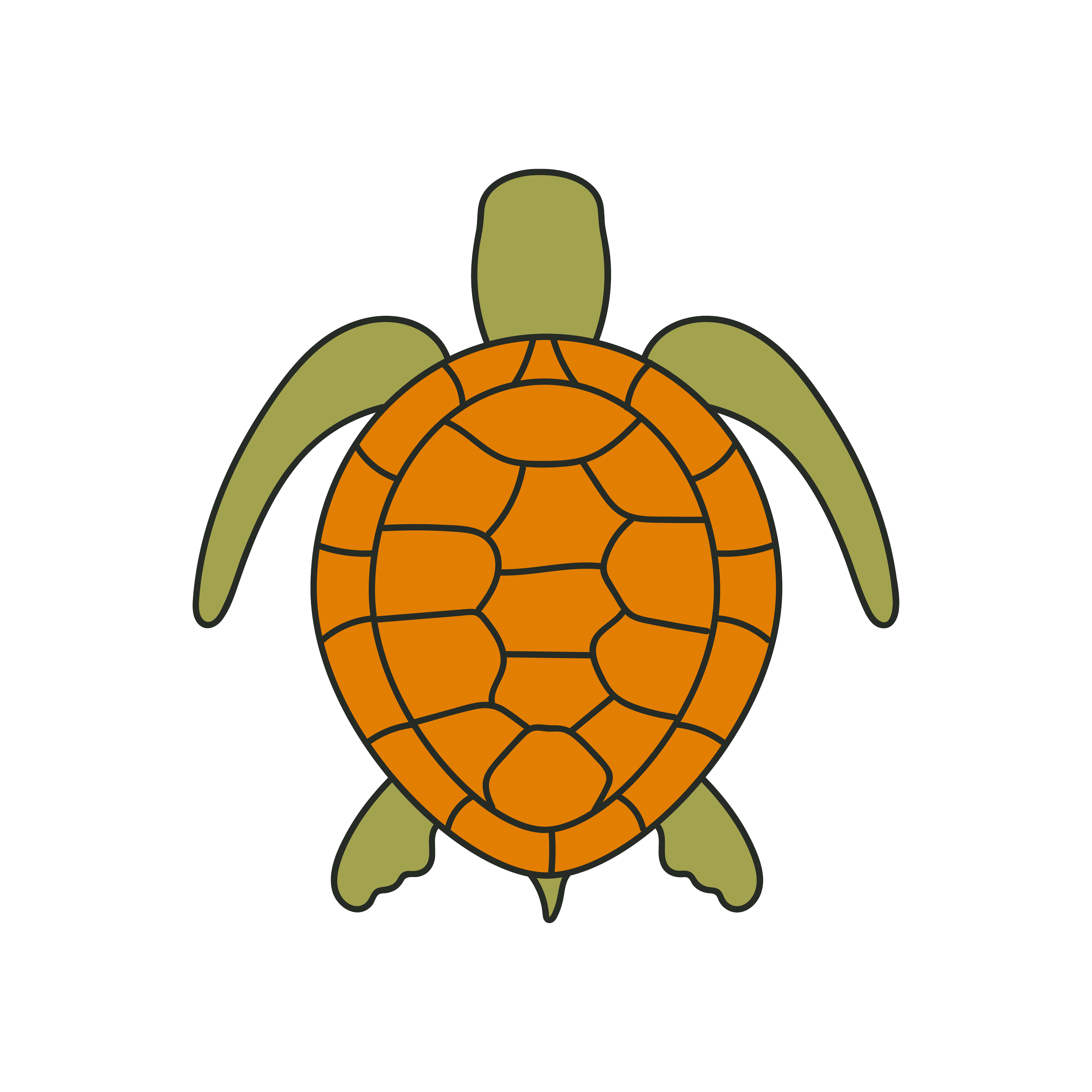 Colorful illustration of a turtle with an orange shell and green limbs.
