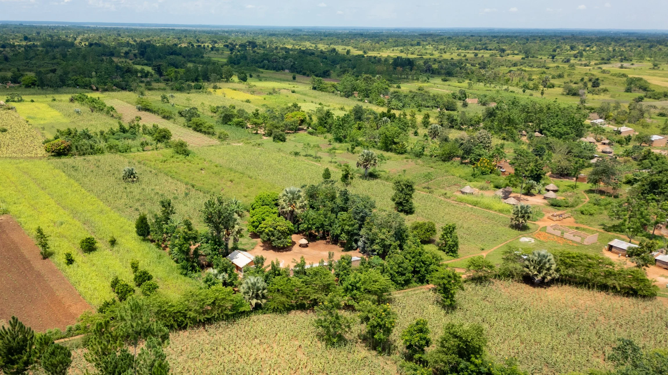 DJI_0069.jpg