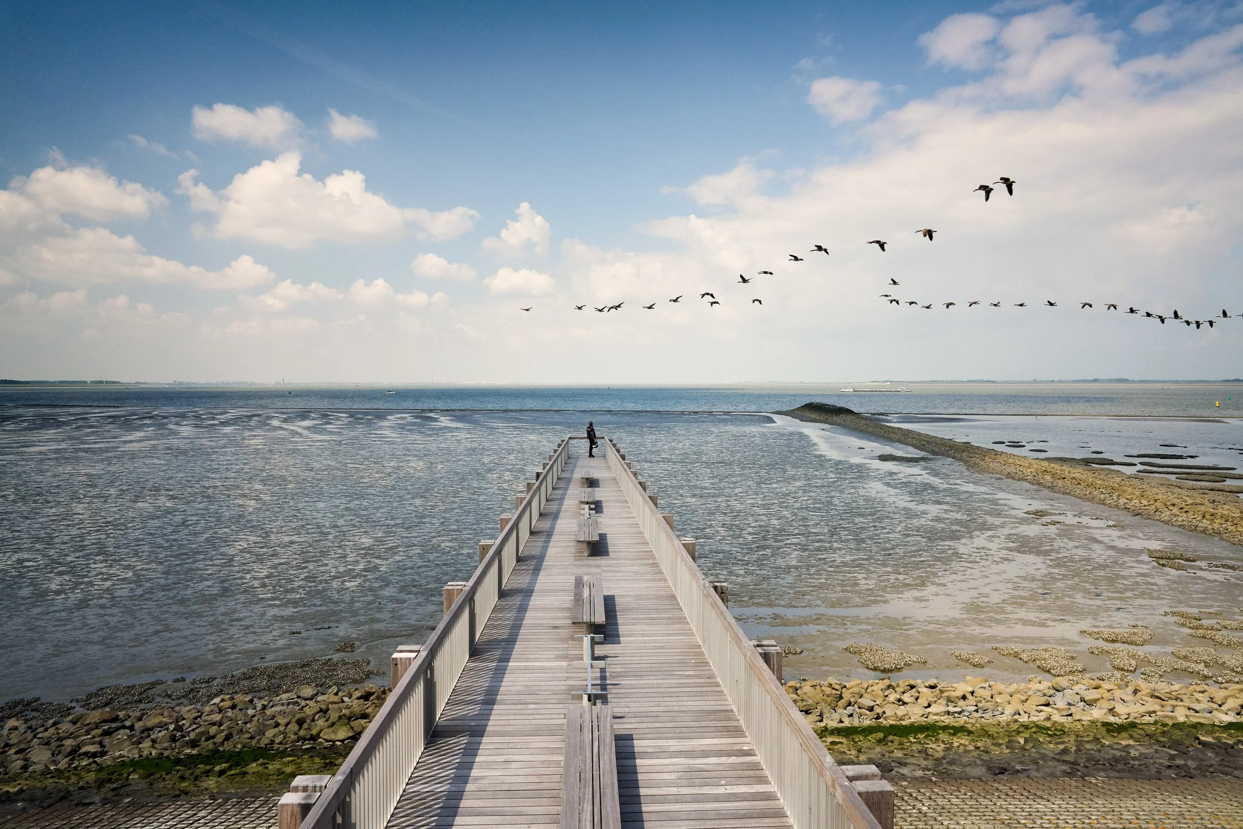 beeldbank voor stuurgroep zuidwestelijke delta