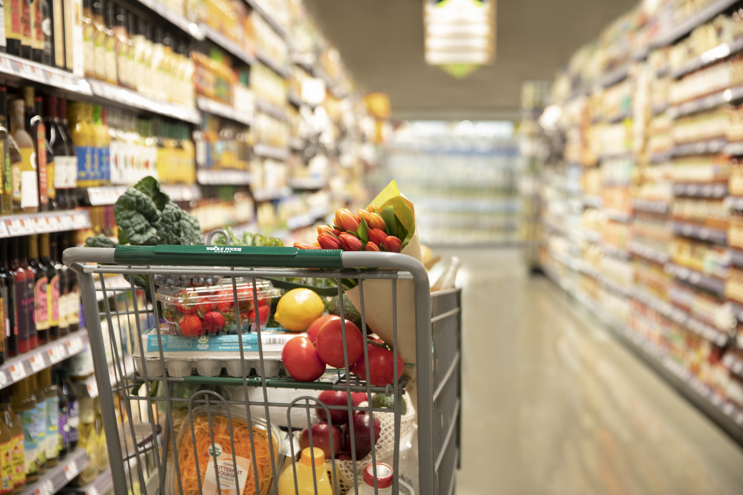 Female Founders Panel Event