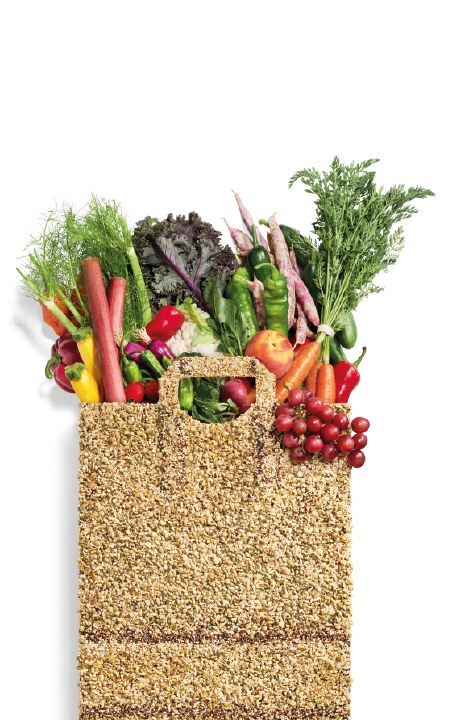 Various colourful vegetables in a brown bag