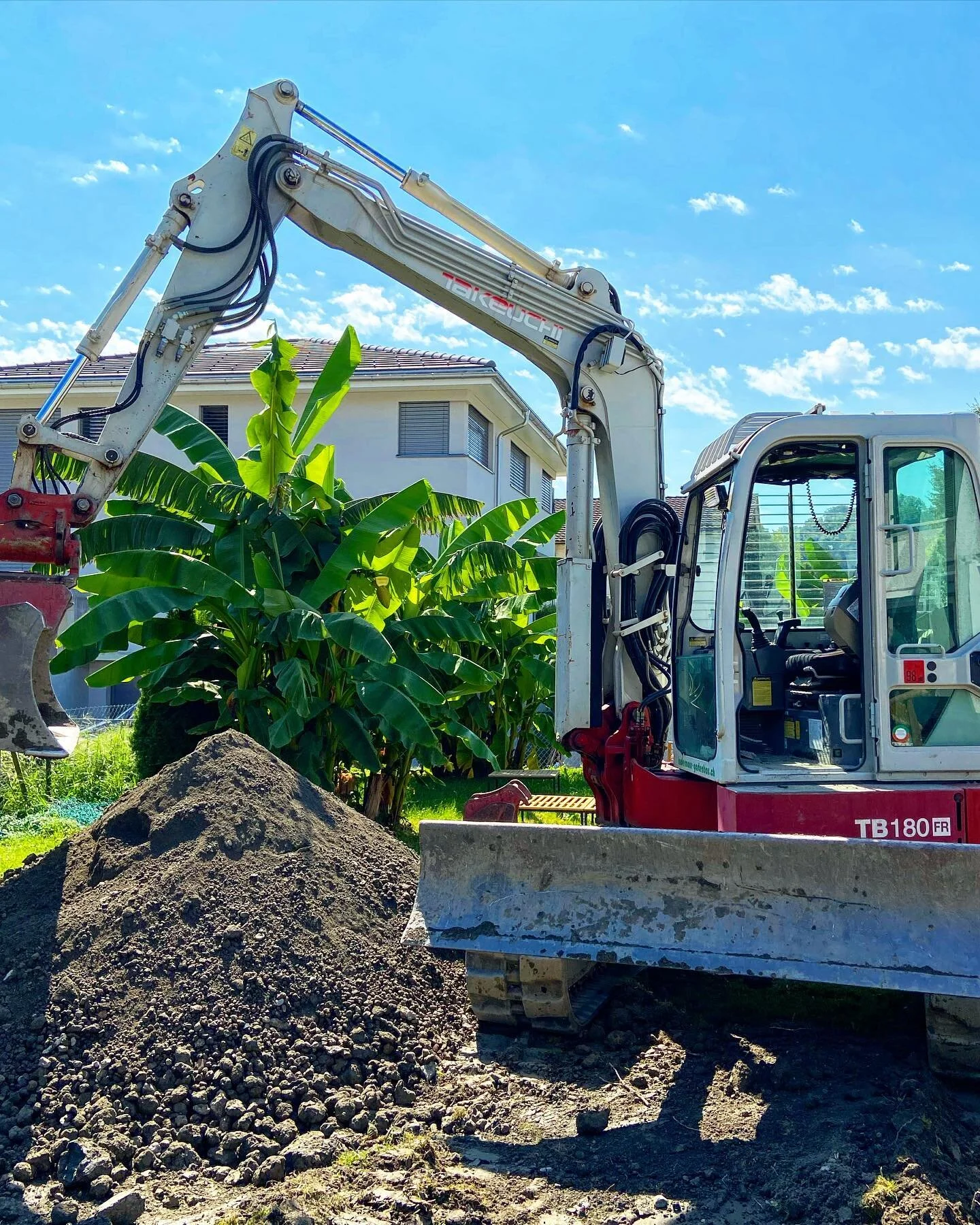tropical vibes 🏝️🦜🌺
.
.
Tropische Bedingungen auf der Baustelle 🌺🥭
Davon profitieren gerne Pflanzen wie die Ess-Banane 🍌🌿 sie stammt aus dem Pazifikraum. 
.
.
Wusstest du dass man sie fr&uuml;her Paradiesfeige nannte?! 🍌🌿💡
.
.
Folge uns f&u