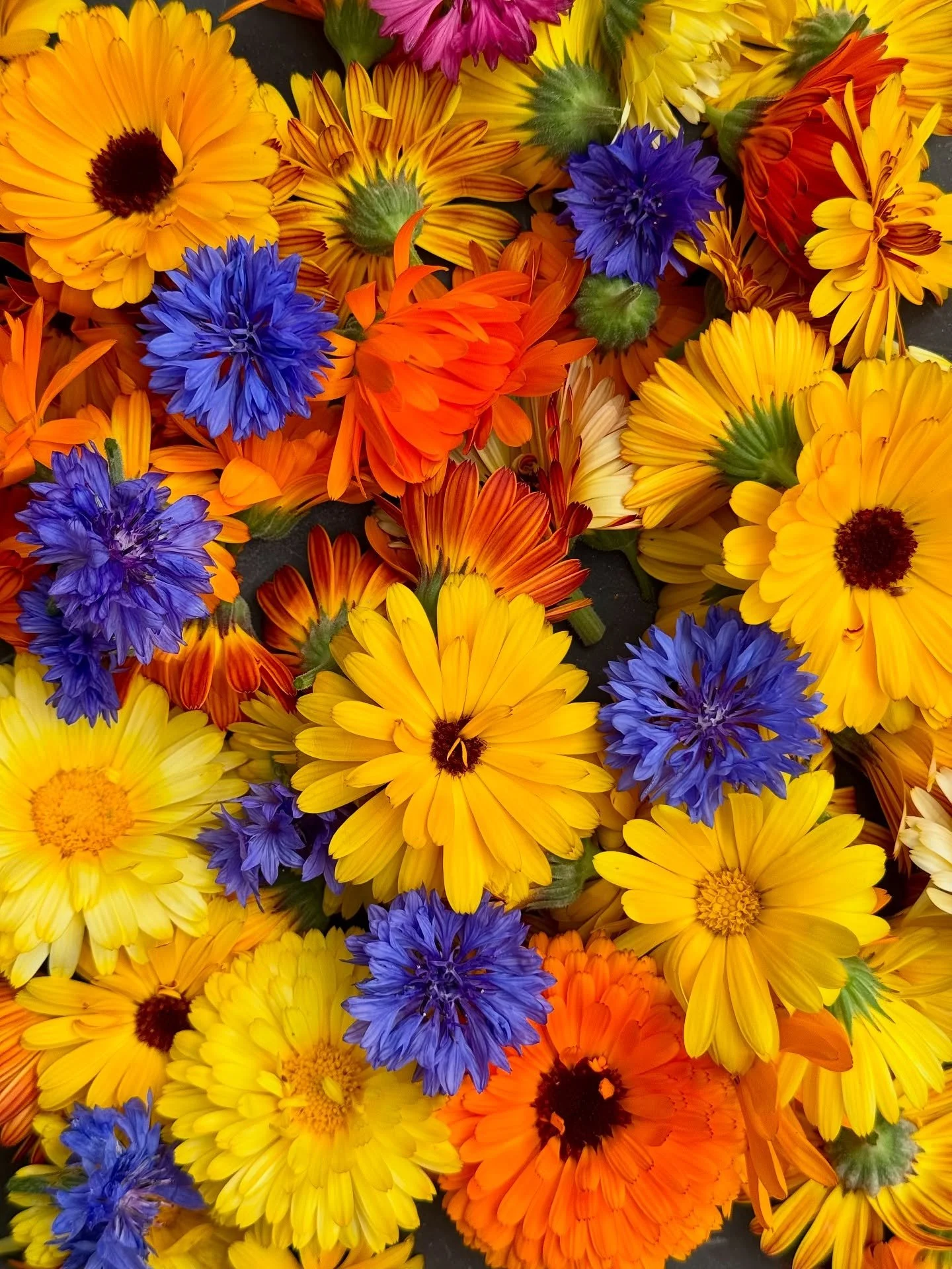 Tea Time 🫖🌸🌼
.
.
Bl&uuml;tenernte in Mutters Staudengarten 🤩 
Goldmelissen und Ringelblumen, Minzesorten, Malven und zahlreiche andere Stauden mit tollen Farben und Heilwirkungen &hellip; werden f&uuml;r leckere Teemischungen geerntet und getrock