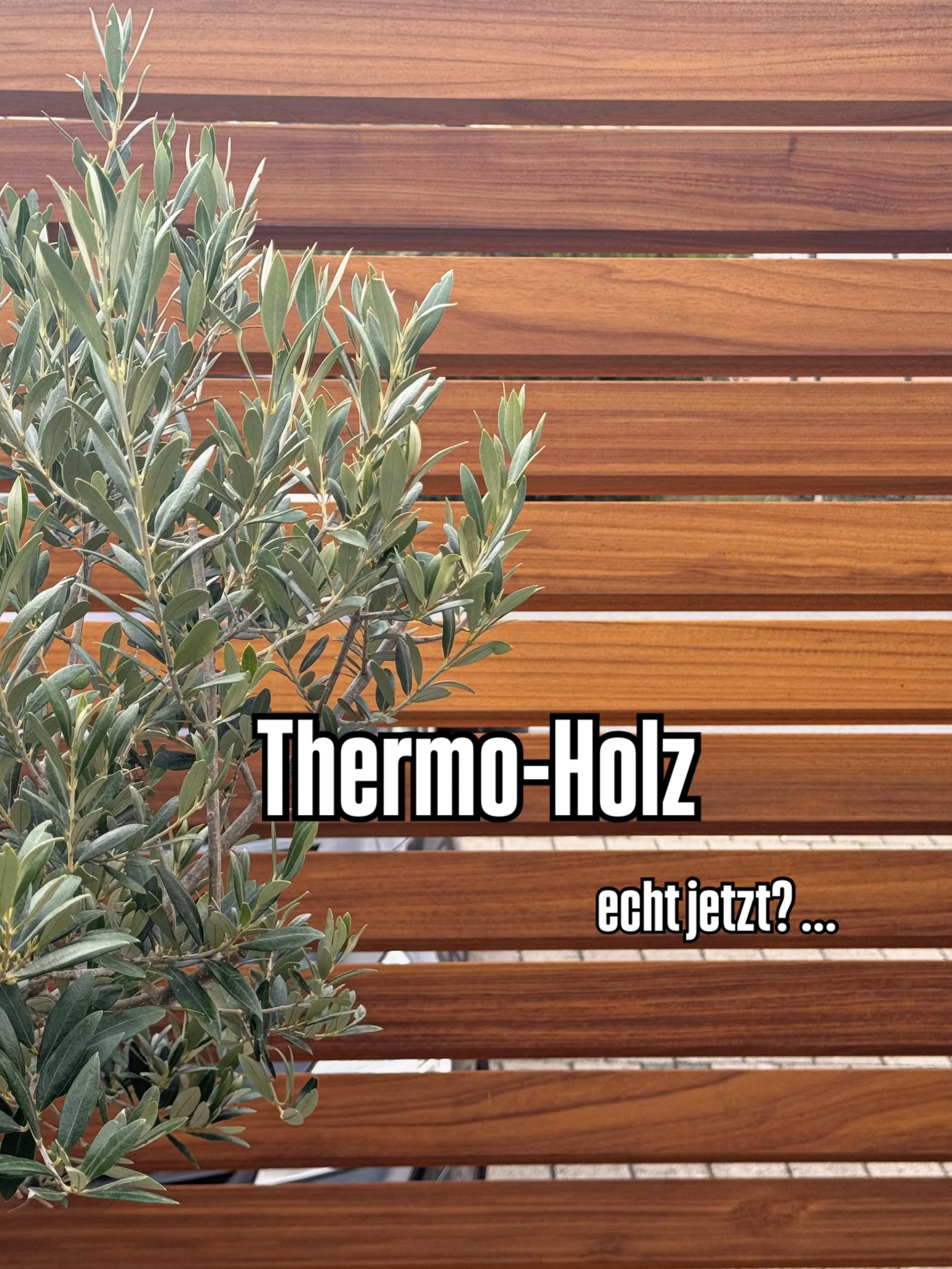 Thermoholz 🪵💚

&hellip;von @dtreuag ist eine F&uuml;llungsoption f&uuml;r das DSYSTEM Sichtschutzsystem als nat&uuml;rliche und nachhaltigere Alternative f&uuml;r den Aussenbereich.

1. Material &amp; Veredelung 🌳🔬💚

&bull; Holzart: Ayous (Westa