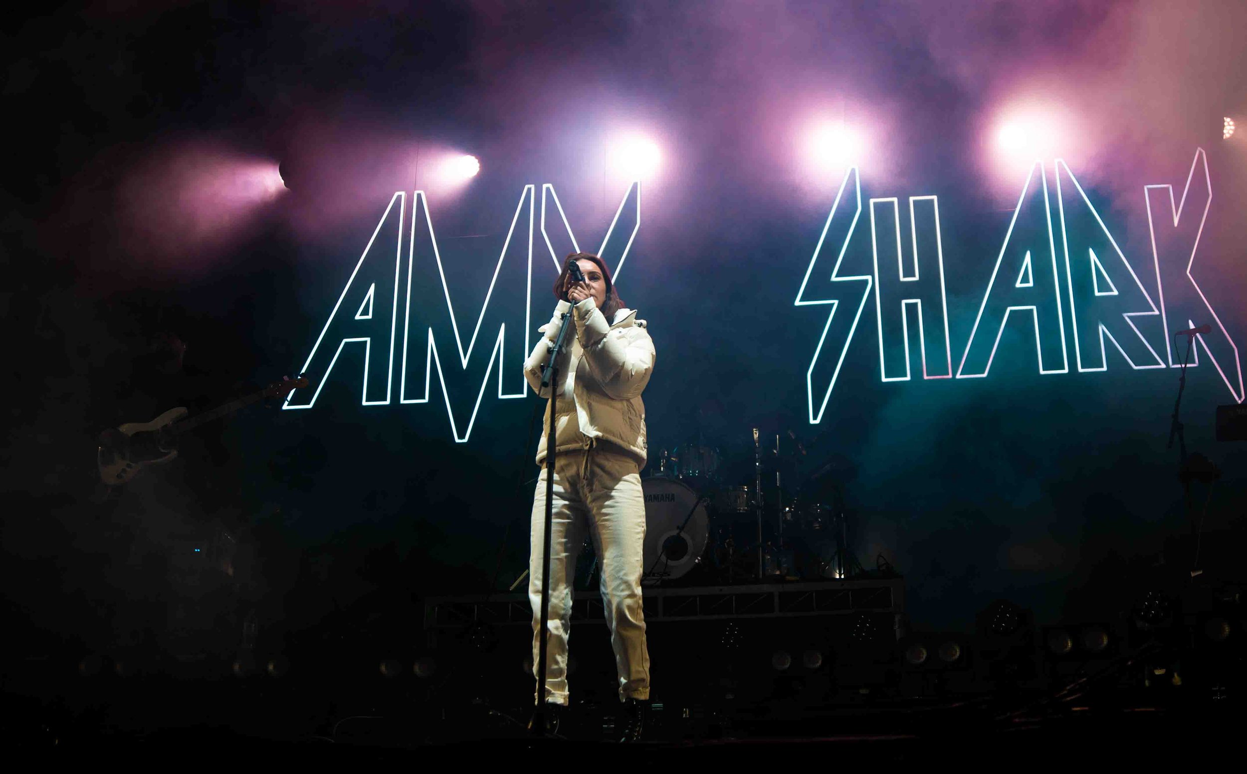 AMYSHARK1.jpg