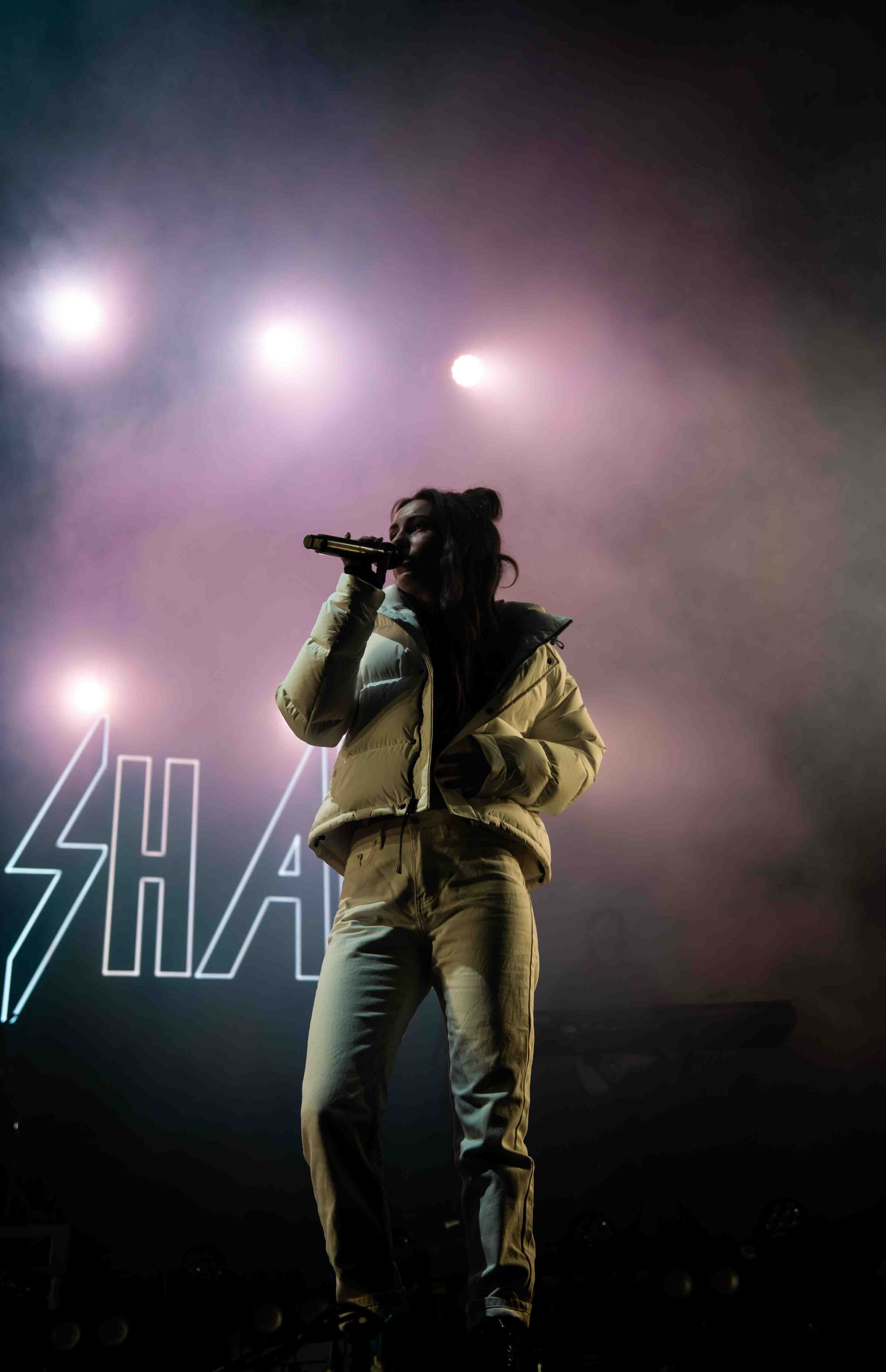 AMYSHARK4.jpg