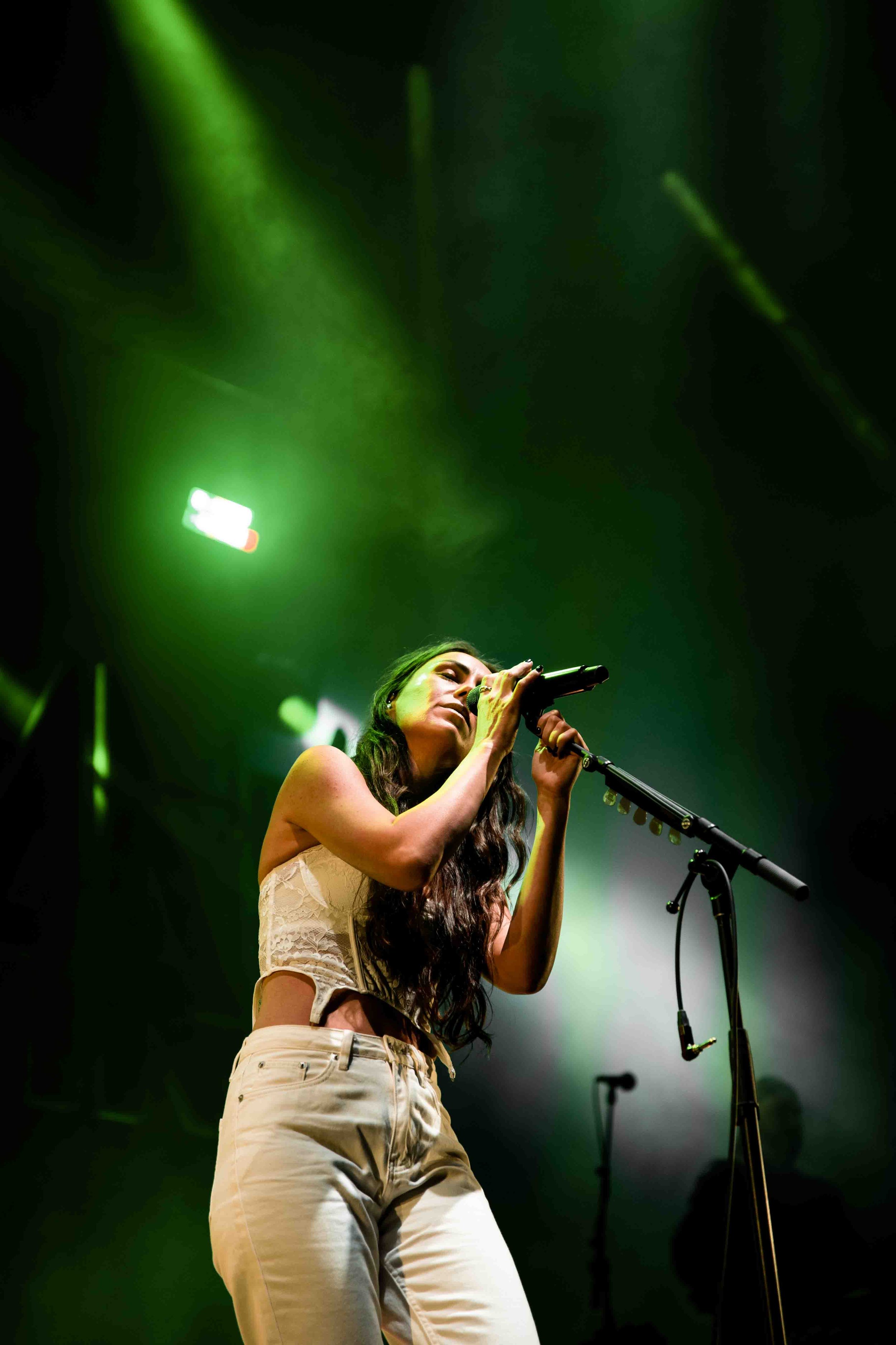 AMYSHARK13.jpg