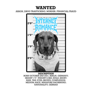 INTERNET ROMANCE DROP PUNCHY DEBUT SINGLE ‘MY DOG’S A LIAR’