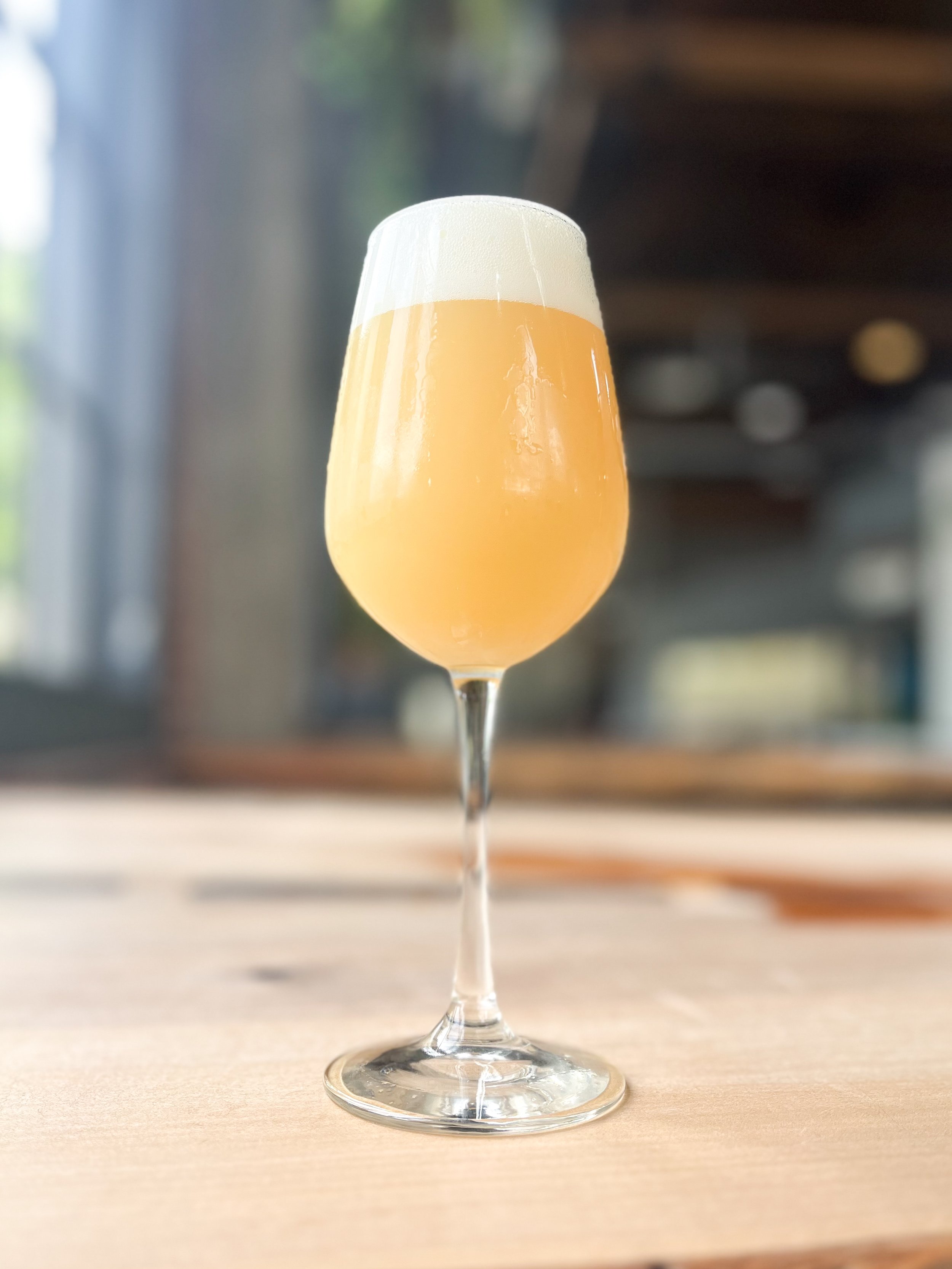 Dolcita Single Hop Hazy IPA.jpg