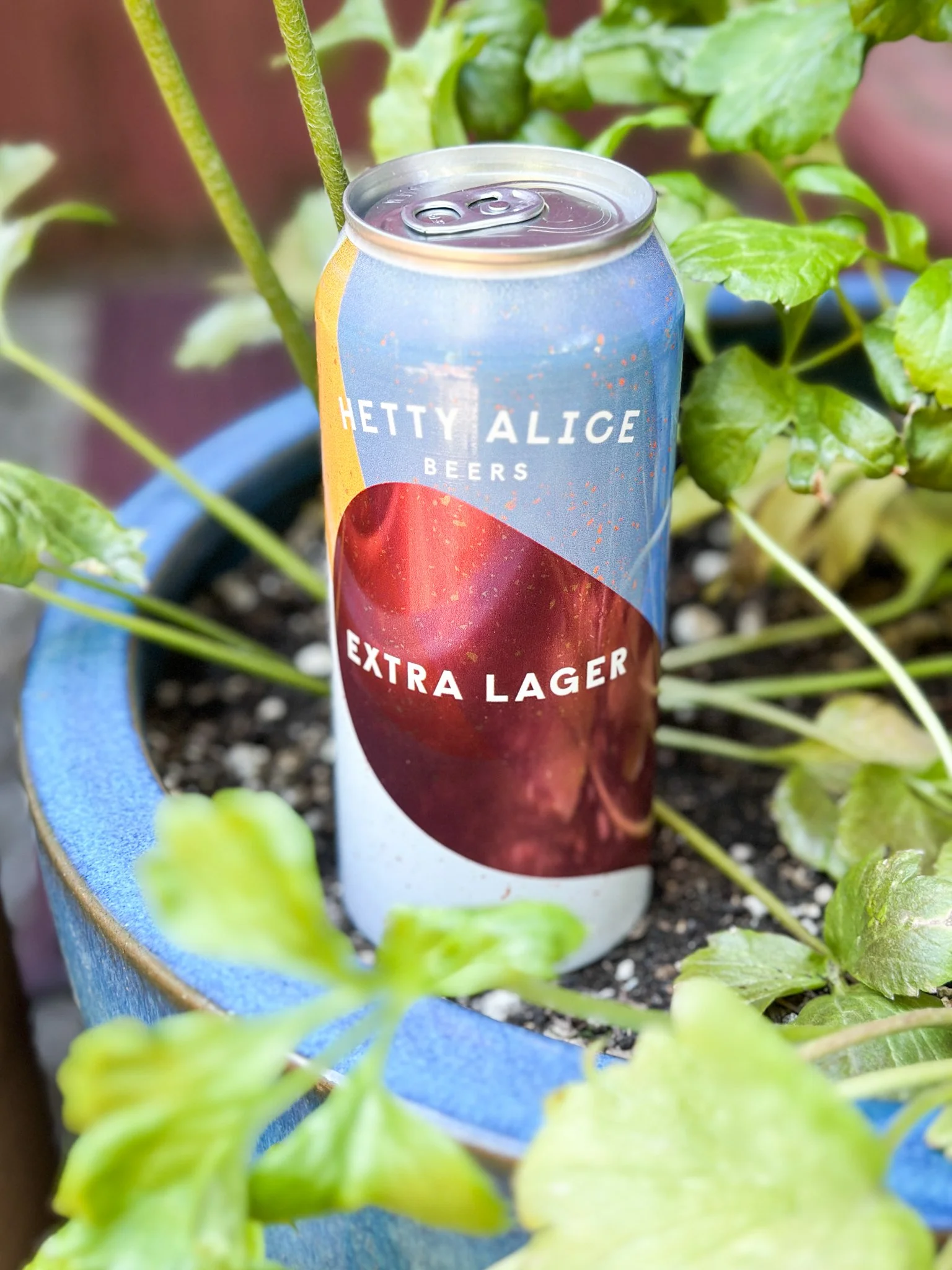 Extra Lager