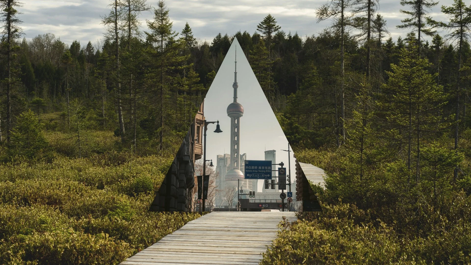 The training — Biosphere Intelligence