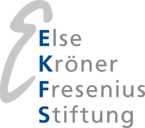 ekfs