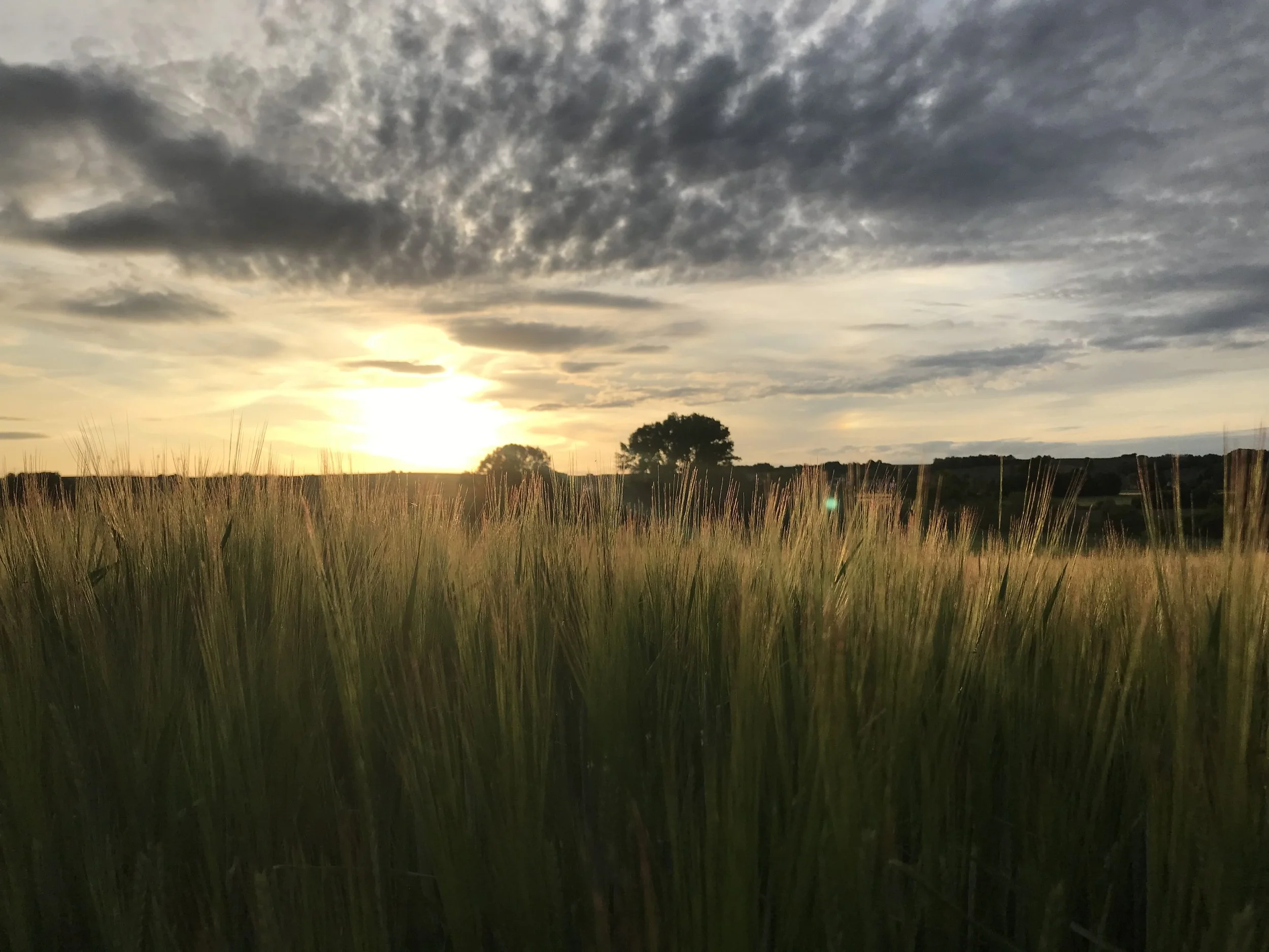 Was ist eigentlich das Ego?