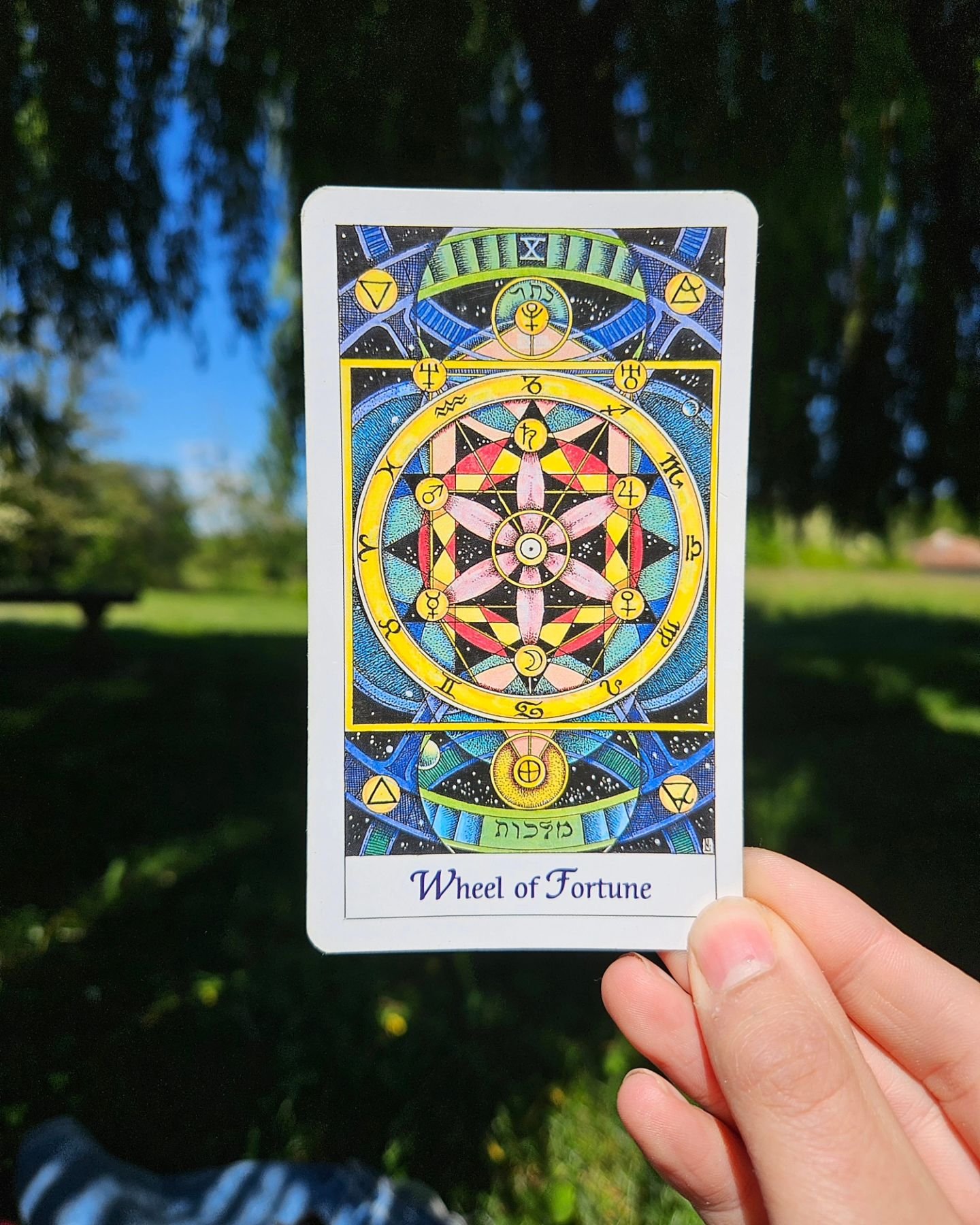 💫🌠 Cosmic Tarot 🌠💫

This 78 card Tarot deck is matched with energy from the universe in each and every design. Comes with an instruction booklet.

Author : Norbert Losche
Published : 1993
Price : &pound;23