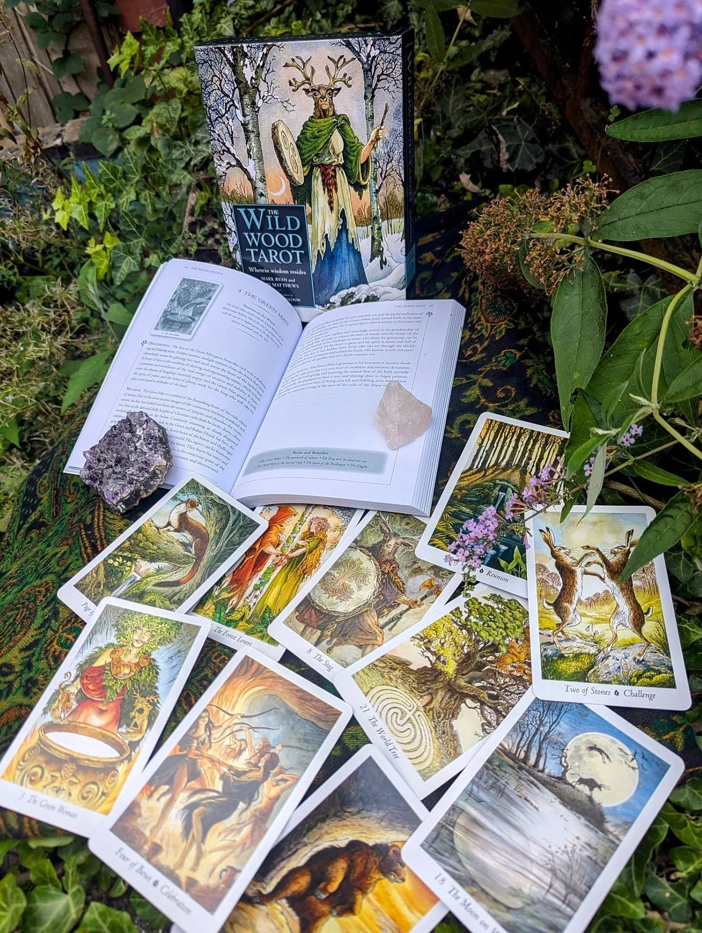 New Tarot in store now ✨ 

We've stocked up on some wonderful new tarot decks, including some gorgeous sets with guide books uncovering the symbolism and imagery of each card in the major and minor arcana.

Only available in store 🔮

The Wild Wood T