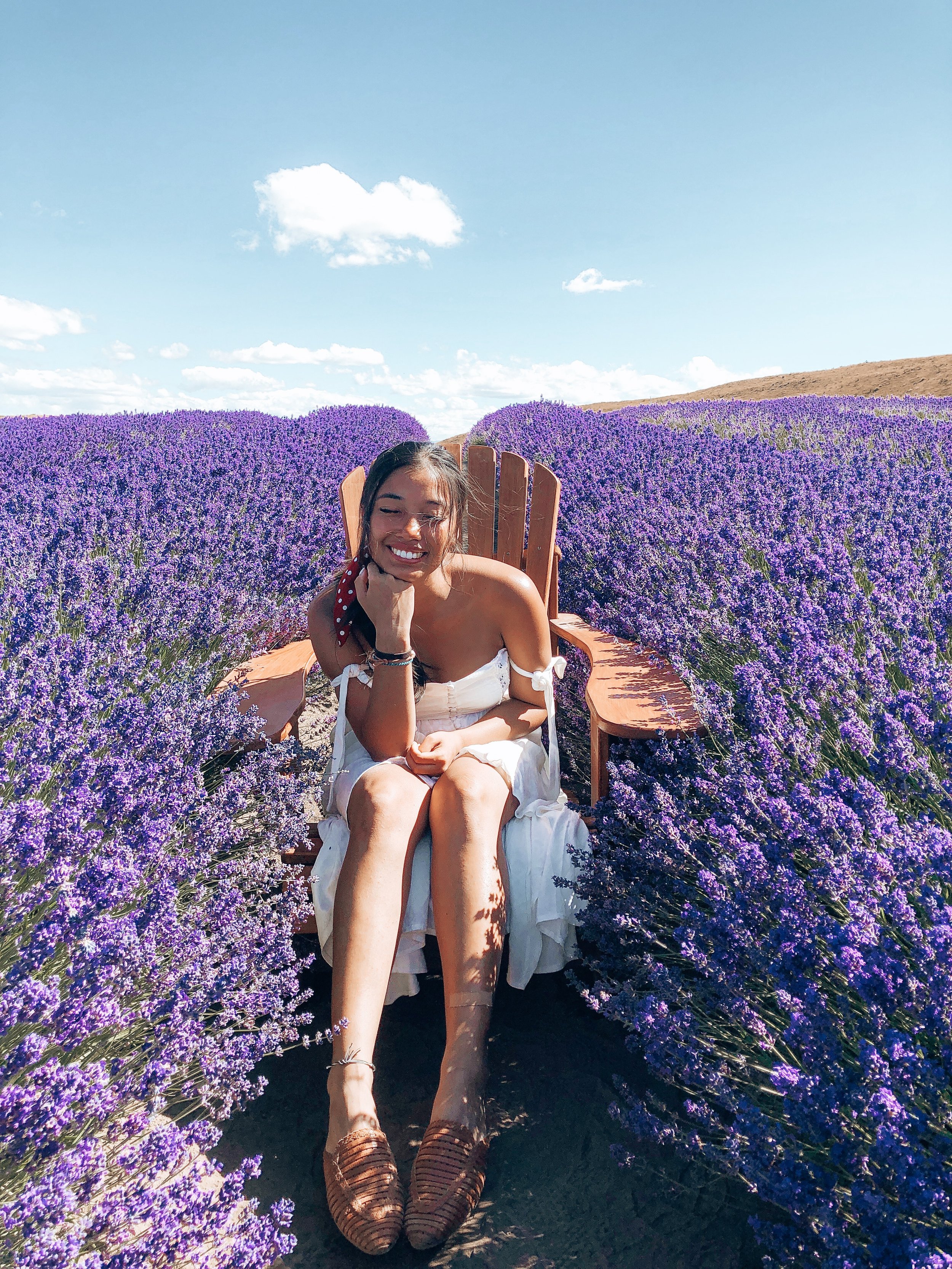 10 Things You Must do in the South Island - New Zealand (summer edition)
